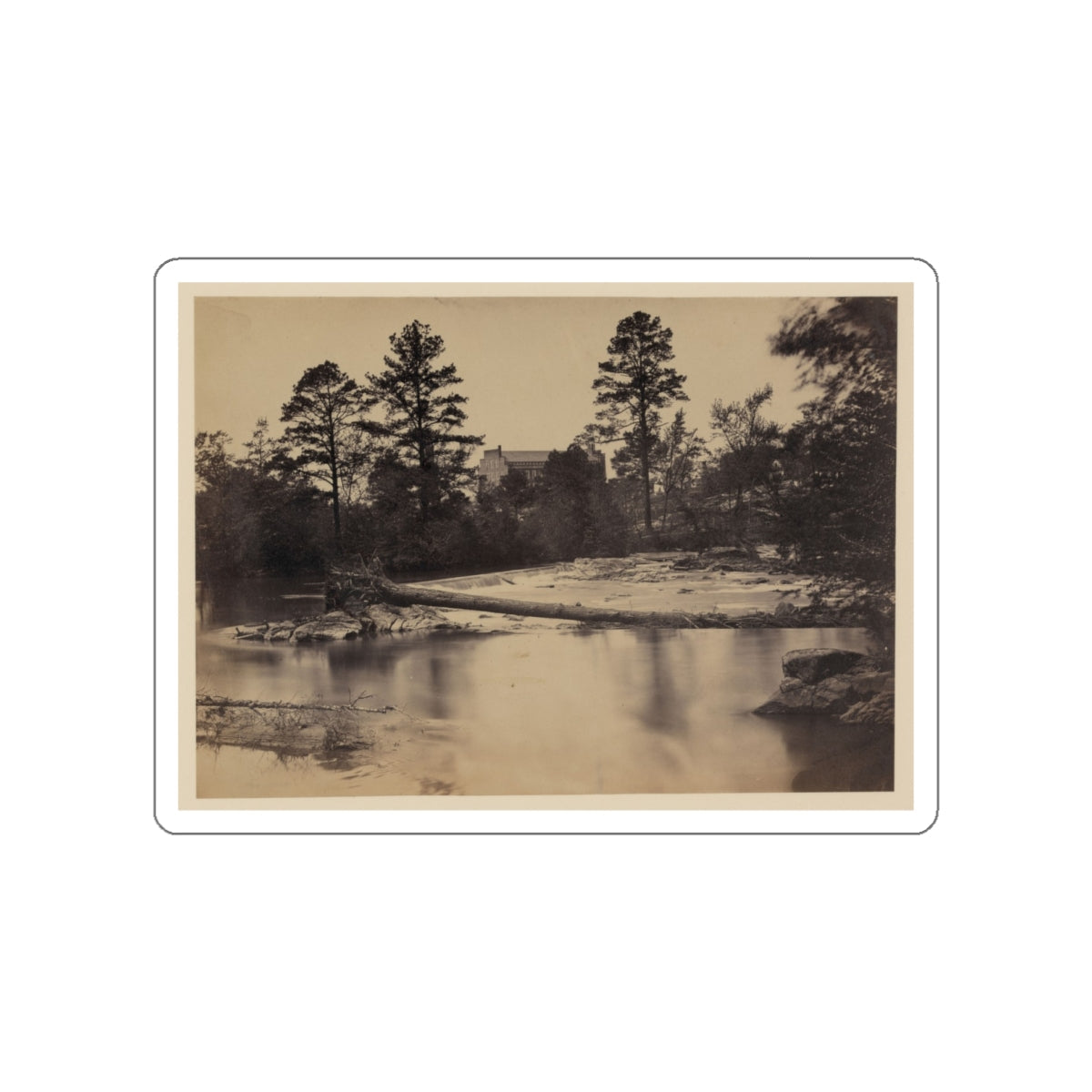 Fallen Tree Across Hazel River, Virginia (U.S. Civil War) STICKER Vinyl Die-Cut Decal-White-The Sticker Space