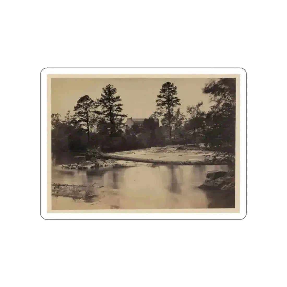 Fallen Tree Across Hazel River, Virginia (U.S. Civil War) STICKER Vinyl Die-Cut Decal - The Sticker Space