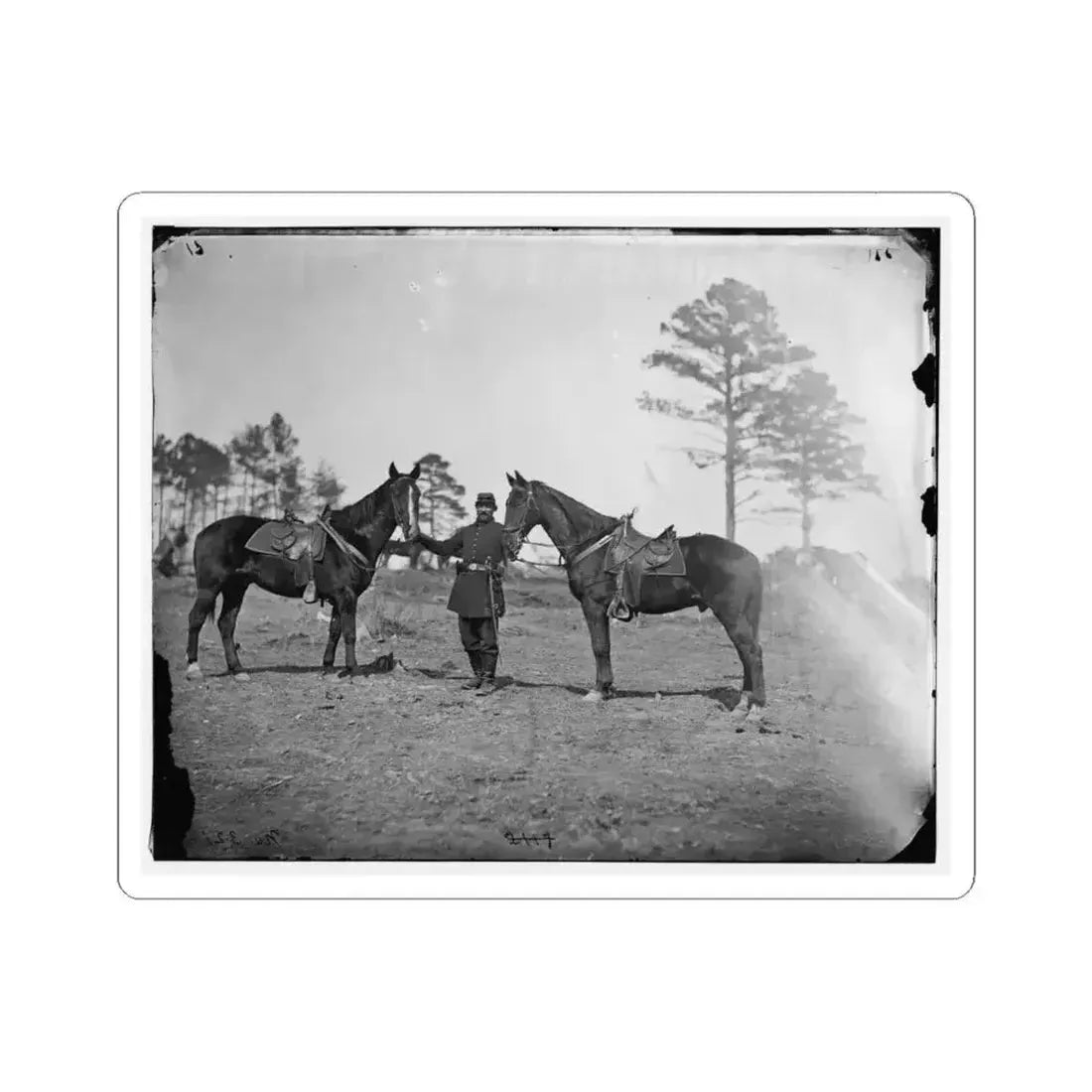 Falmouth, Virginia. Col. George Henry Sharpe's Horses, Headquarters, Army of the Potomac (U.S. Civil War) STICKER Vinyl Kiss-Cut Decal 6 Inch White - The Sticker Space