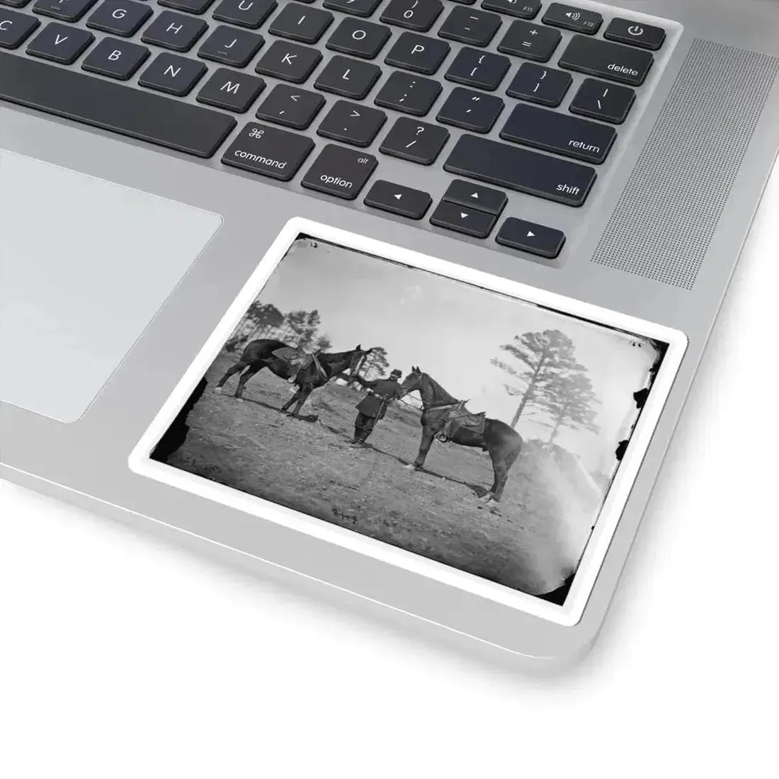 Falmouth, Virginia. Col. George Henry Sharpe's Horses, Headquarters, Army of the Potomac (U.S. Civil War) STICKER Vinyl Kiss-Cut Decal - The Sticker Space