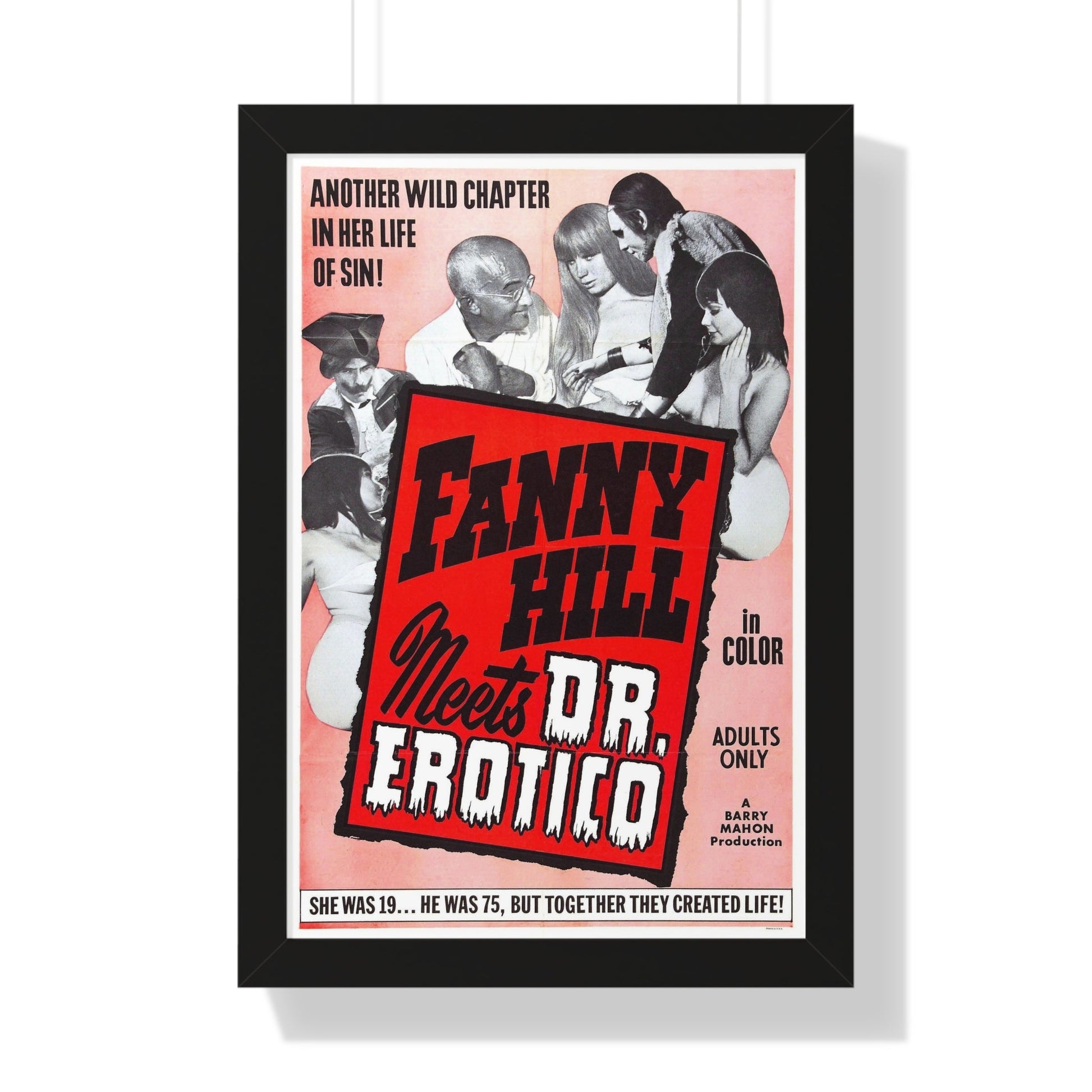 FANNY HILL MEETS DR.EROTICO 1967 - Framed Movie Poster-16″ x 24″-The Sticker Space