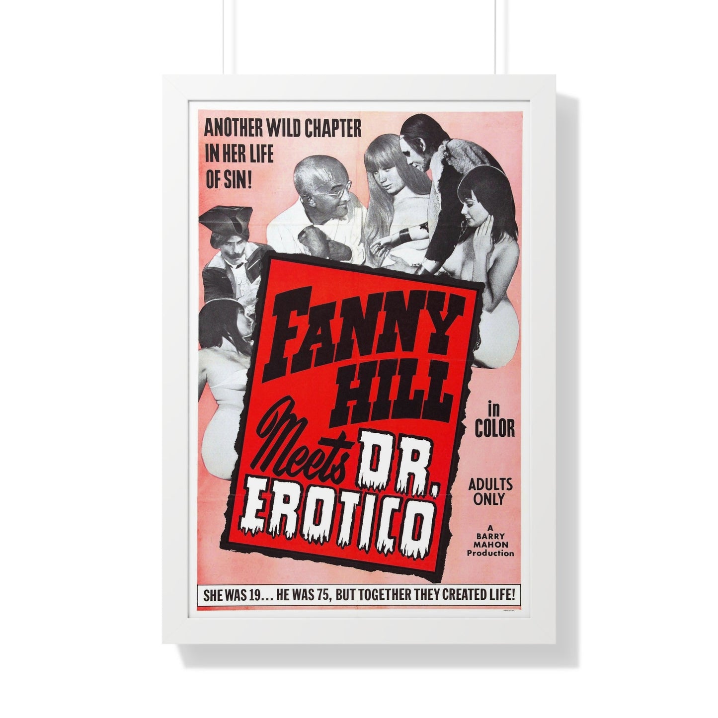 FANNY HILL MEETS DR.EROTICO 1967 - Framed Movie Poster-20" x 30"-The Sticker Space