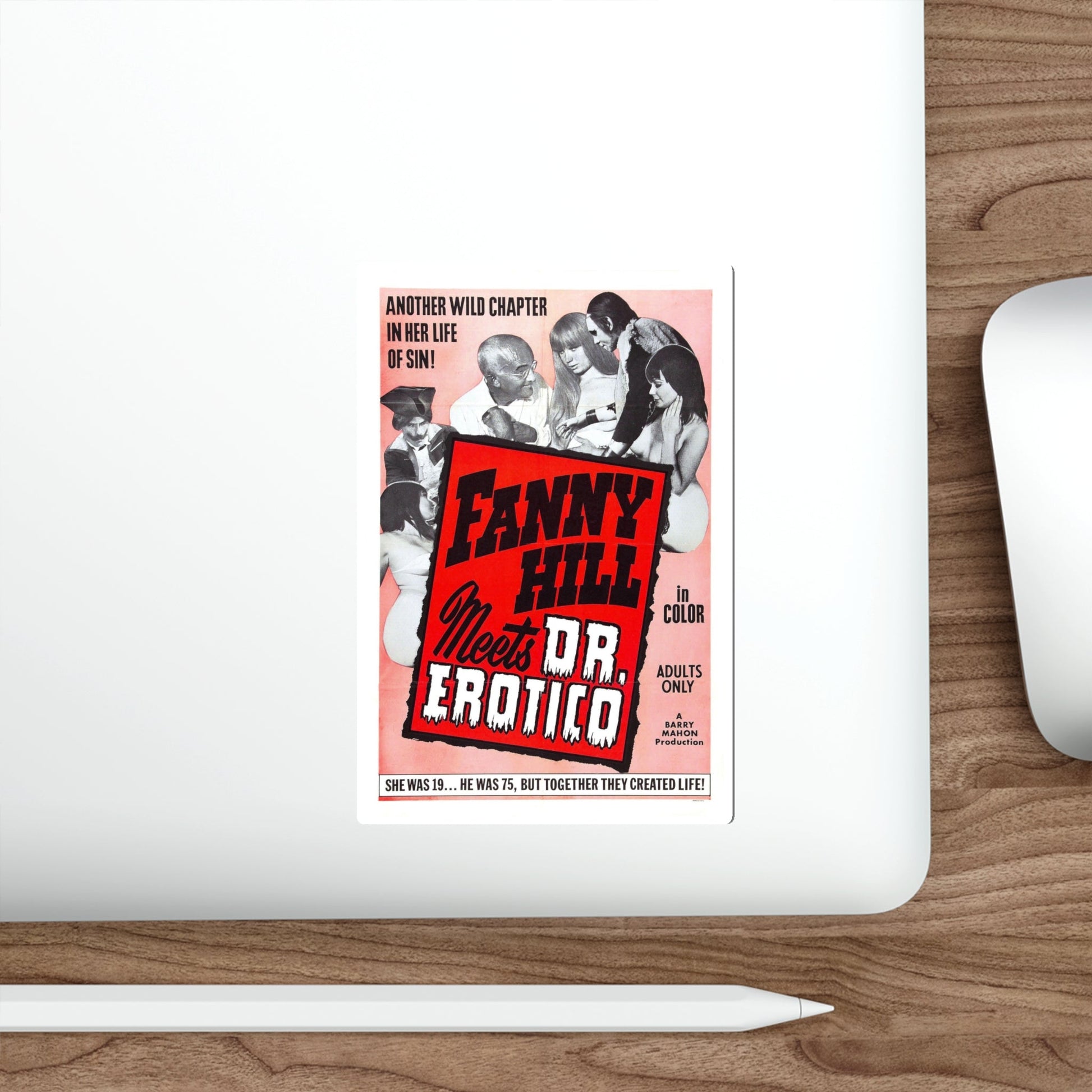 FANNY HILL MEETS DR.EROTICO 1967 Movie Poster STICKER Vinyl Die-Cut Decal-The Sticker Space