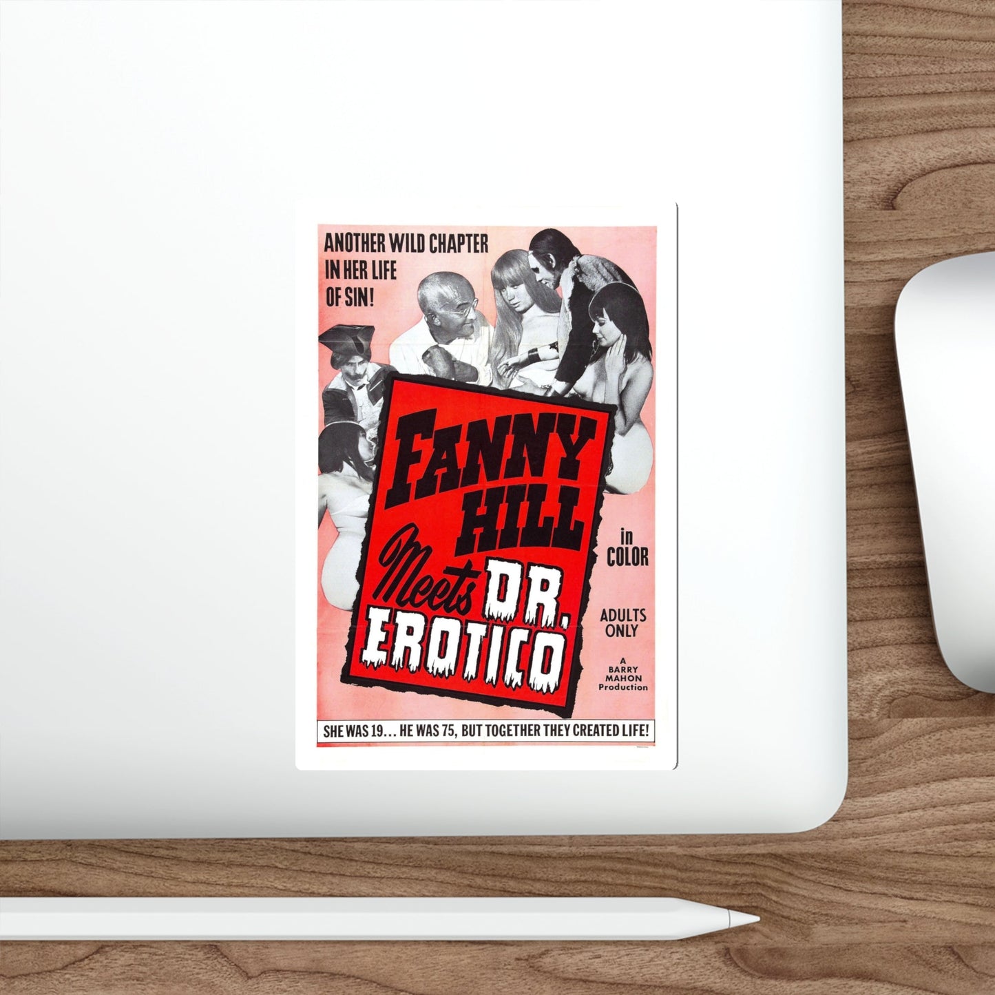 FANNY HILL MEETS DR.EROTICO 1967 Movie Poster STICKER Vinyl Die-Cut Decal-The Sticker Space