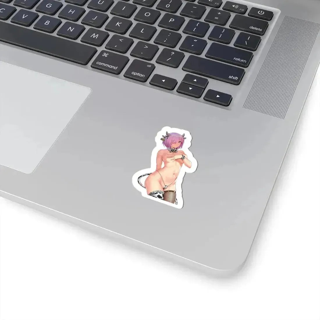 Fate Grand Order Mash Kyrielight Shielder 1 (Anime/Ecchi) STICKER Vinyl Kiss-Cut Decal - The Sticker Space