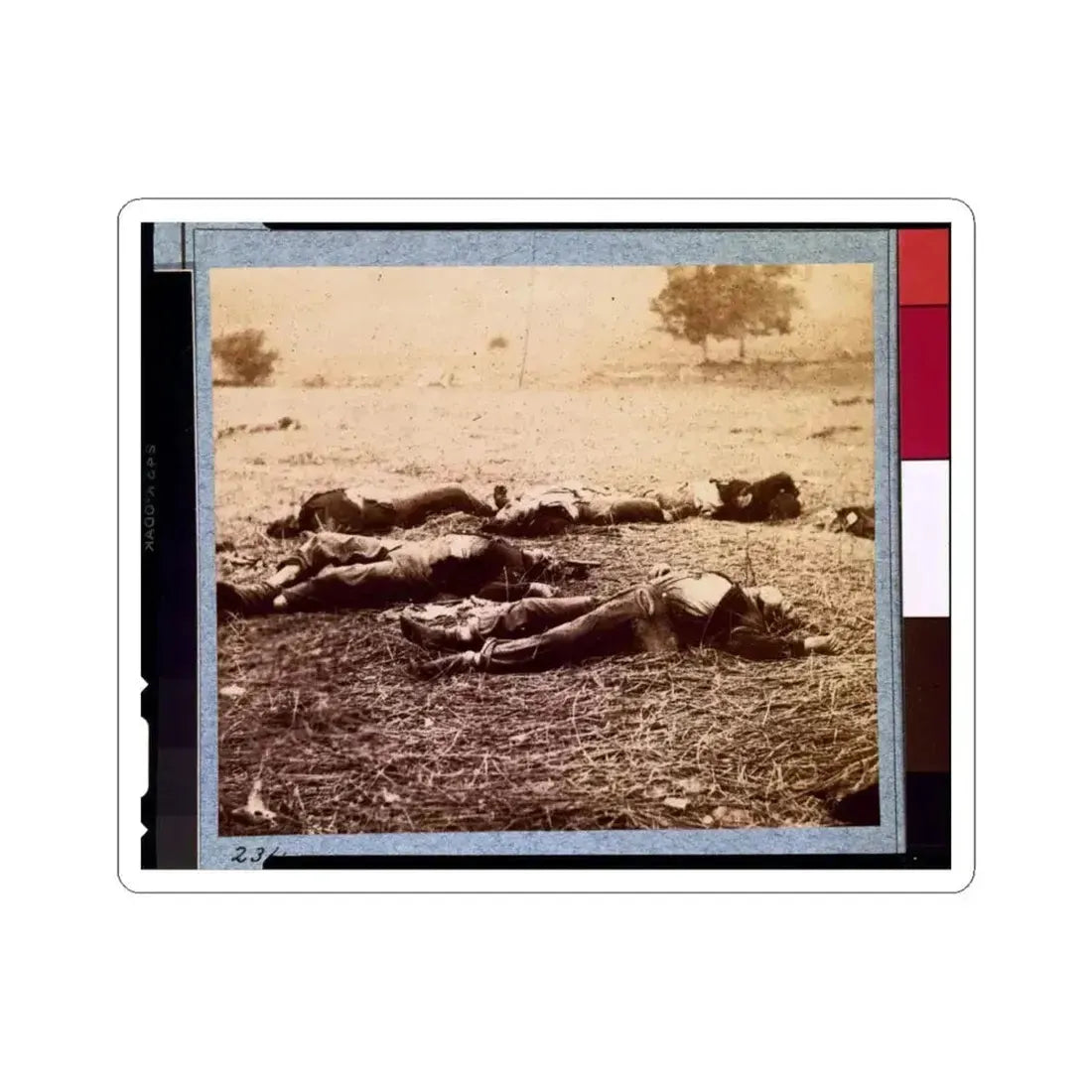 Federal Dead on the Field of Battle of First Day, Gettysburg, Pennsylvania (U.S. Civil War) STICKER Vinyl Kiss-Cut Decal 6 Inch White - The Sticker Space