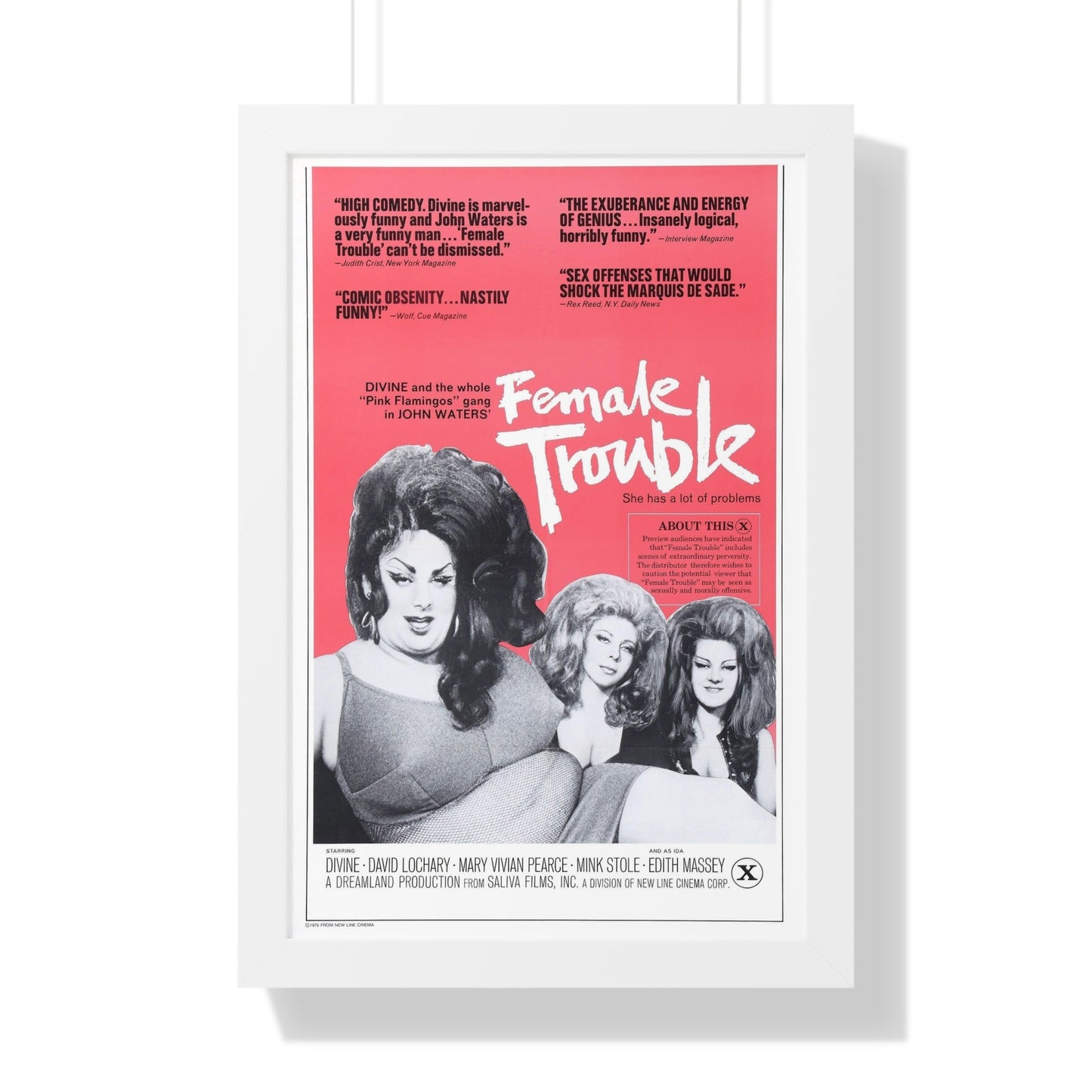 FEMALE TROUBLE (2) 1974 - Framed Movie Poster-16″ x 24″-The Sticker Space