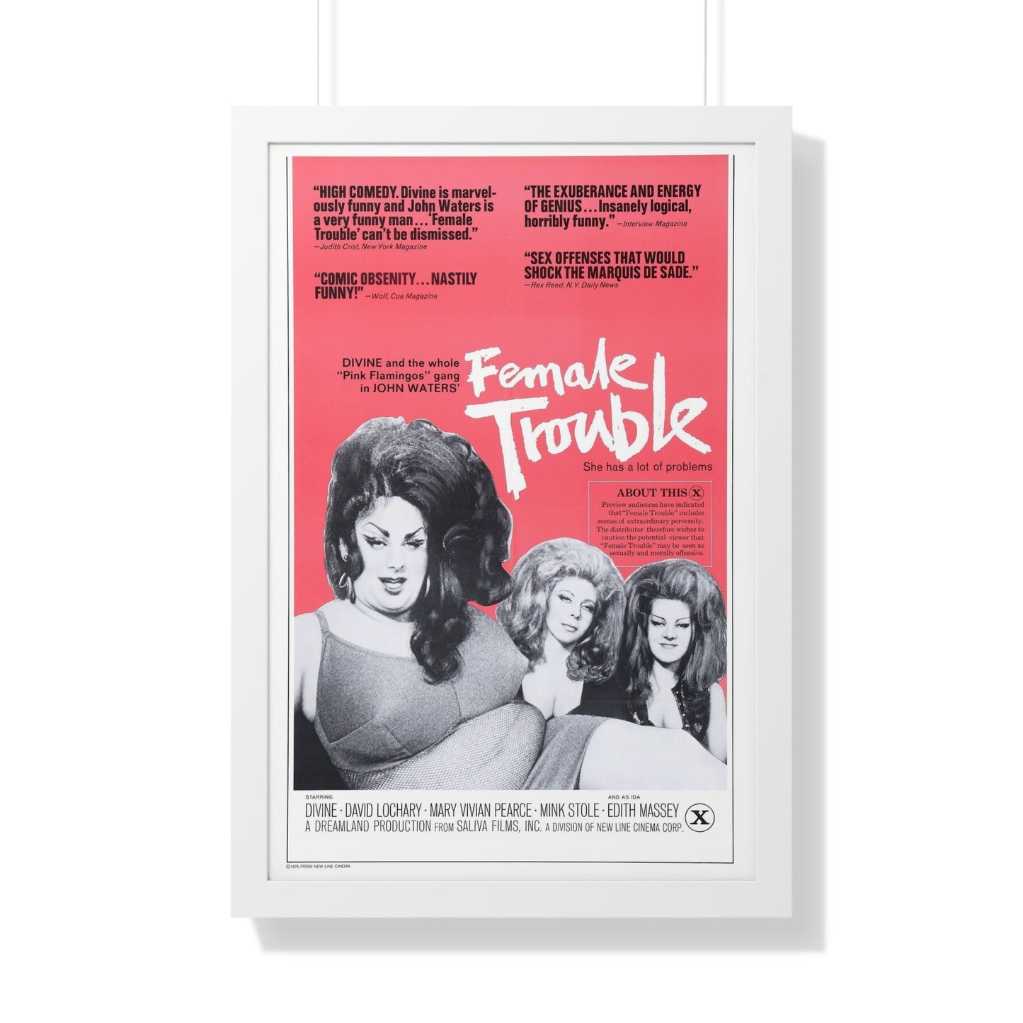 FEMALE TROUBLE (2) 1974 - Framed Movie Poster-20" x 30"-The Sticker Space