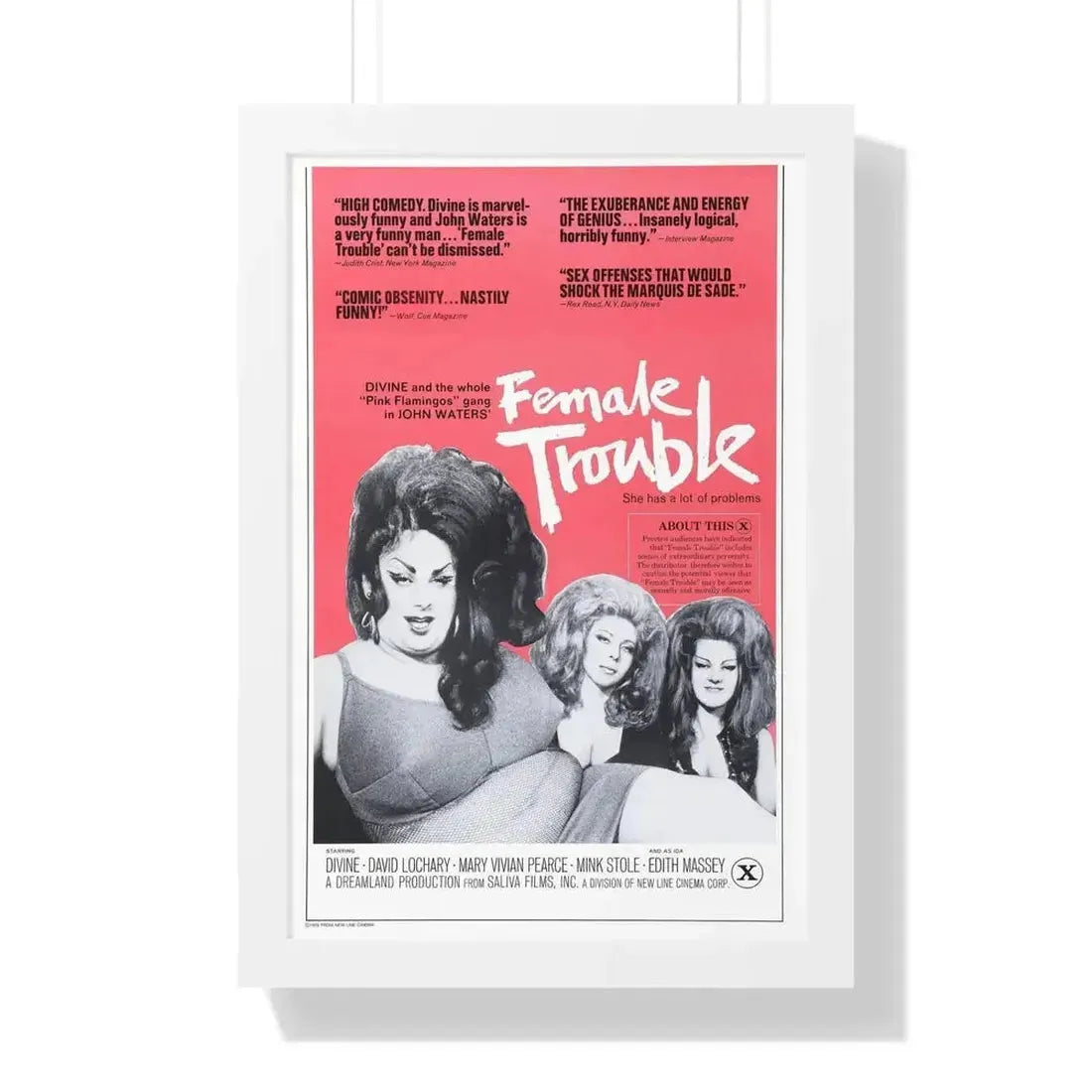 FEMALE TROUBLE (2) 1974 - Framed Movie Poster - The Sticker Space