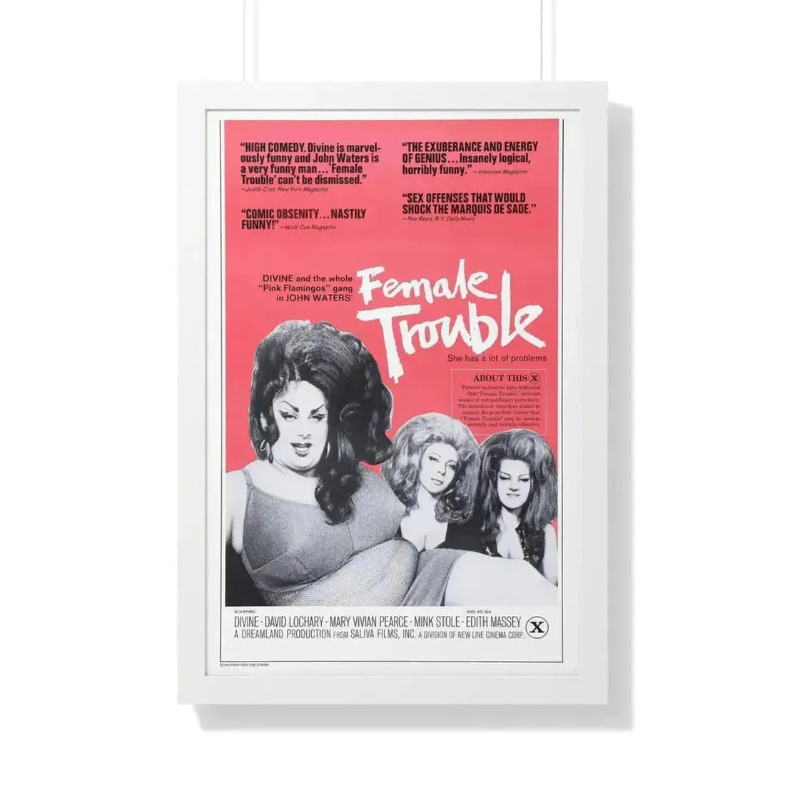 FEMALE TROUBLE (2) 1974 - Framed Movie Poster - The Sticker Space