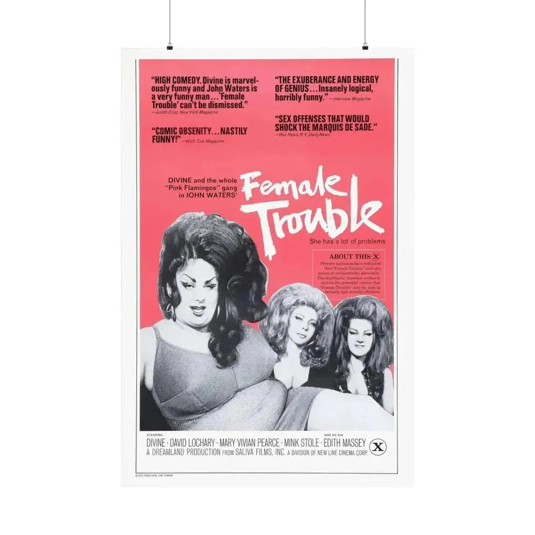 FEMALE TROUBLE (2) 1974 - Paper Movie Poster - The Sticker Space