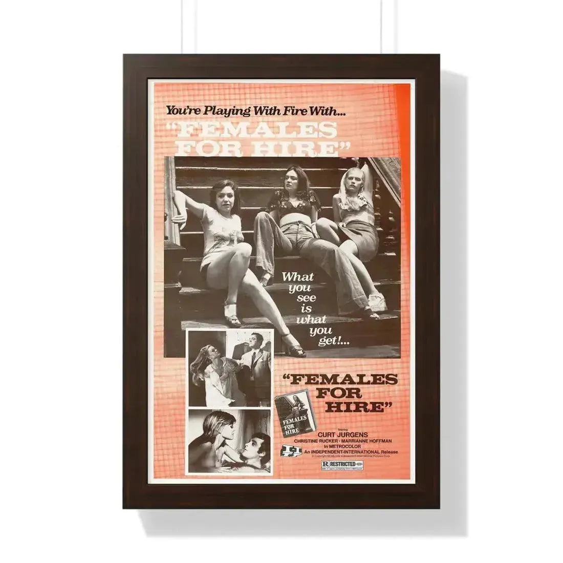 FEMALES FOR HIRE 1968 - Framed Movie Poster 16″ x 24″ Walnut - The Sticker Space