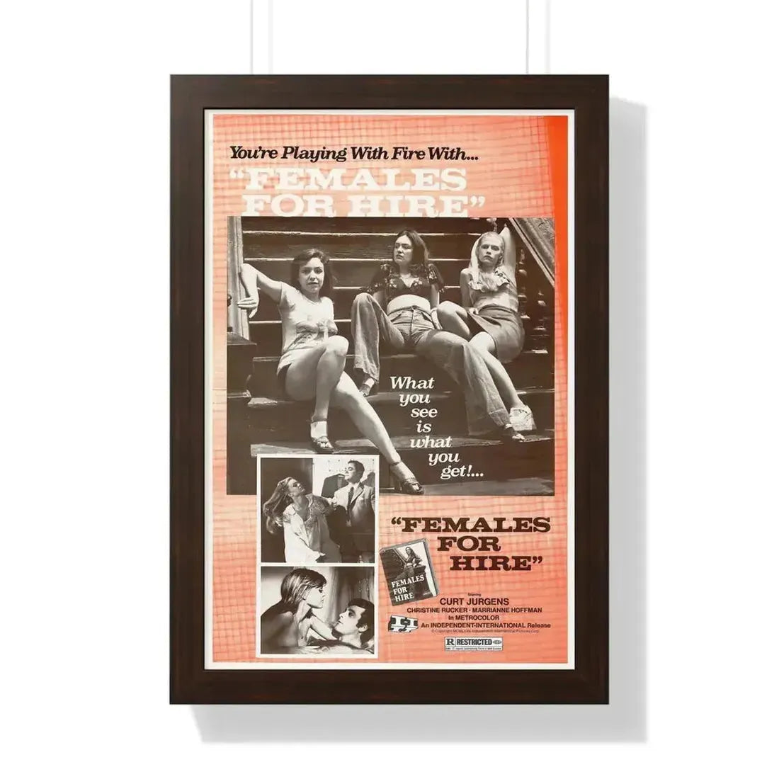 FEMALES FOR HIRE 1968 - Framed Movie Poster - The Sticker Space