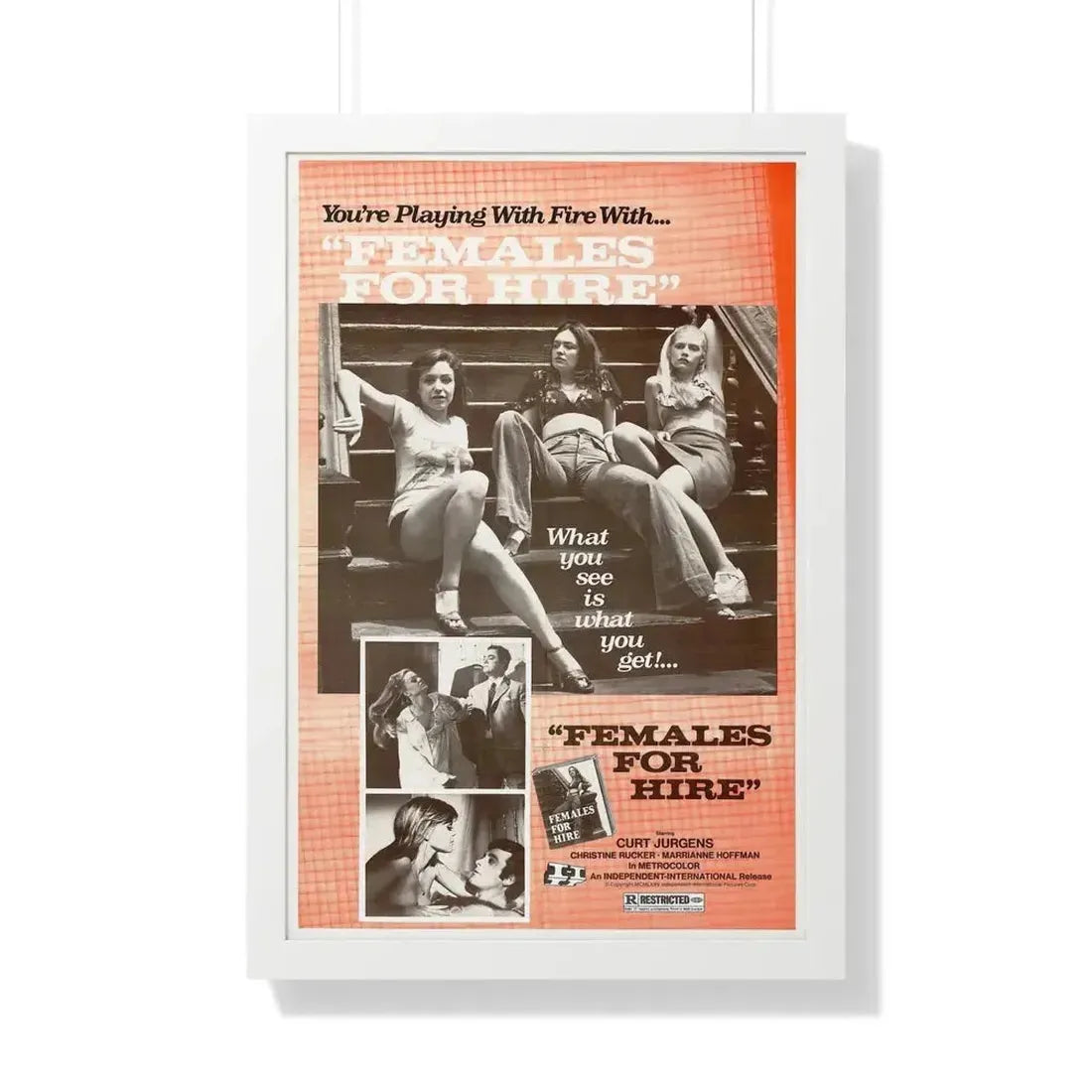 FEMALES FOR HIRE 1968 - Framed Movie Poster - The Sticker Space