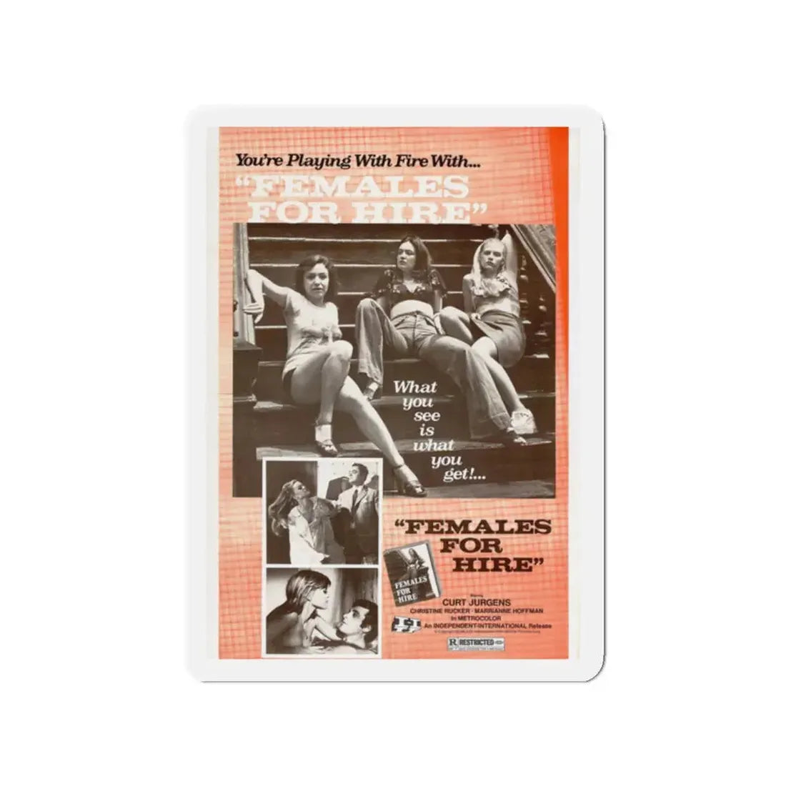 FEMALES FOR HIRE 1968 Movie Poster - Refrigerator Magnet 2 Inch - The Sticker Space