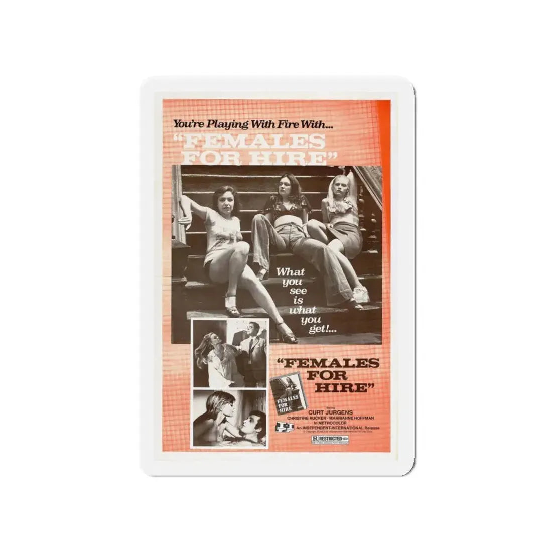 FEMALES FOR HIRE 1968 Movie Poster - Refrigerator Magnet 4 Inch - The Sticker Space