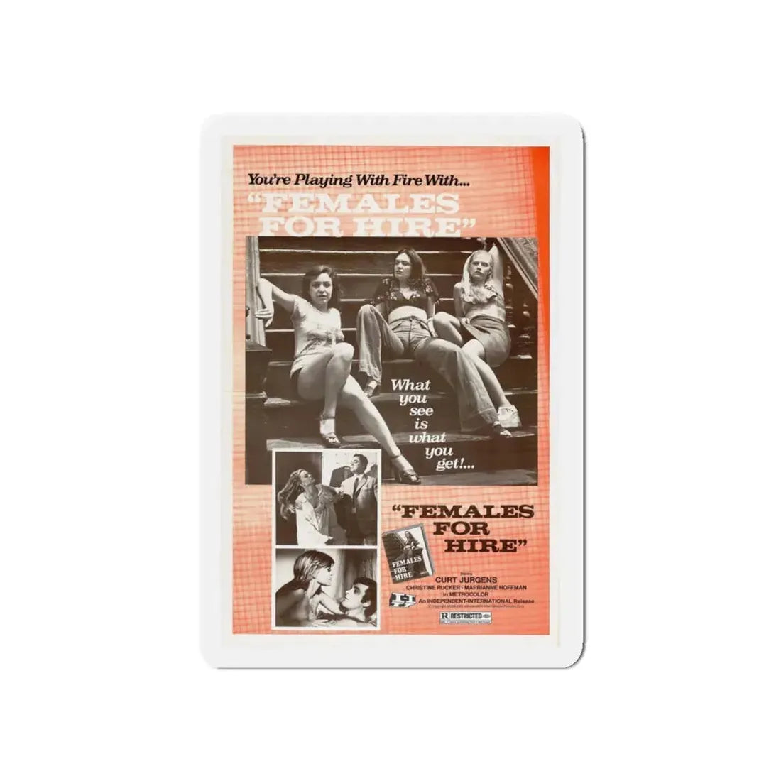 FEMALES FOR HIRE 1968 Movie Poster - Refrigerator Magnet 5 Inch - The Sticker Space