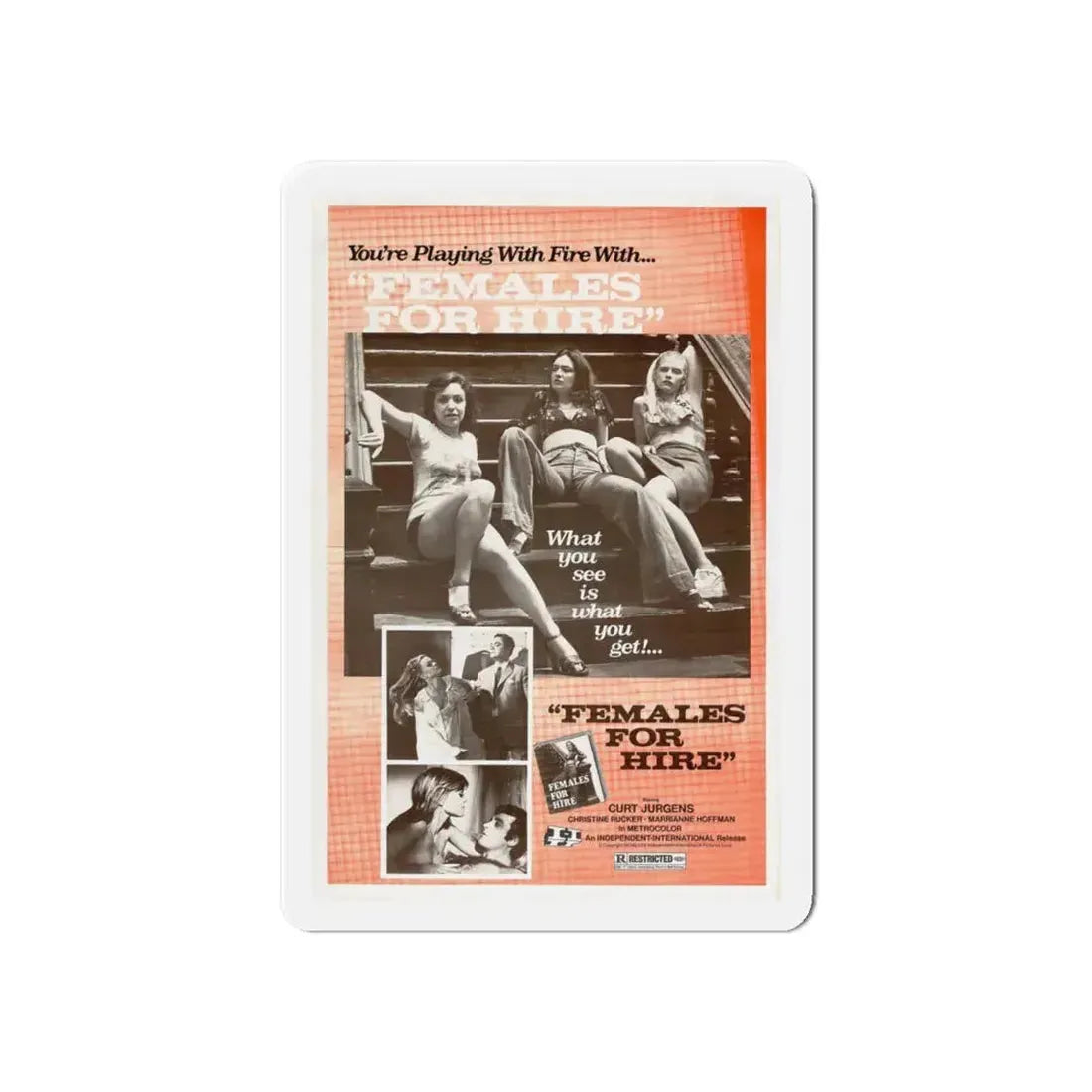 FEMALES FOR HIRE 1968 Movie Poster - Refrigerator Magnet 6 Inch - The Sticker Space