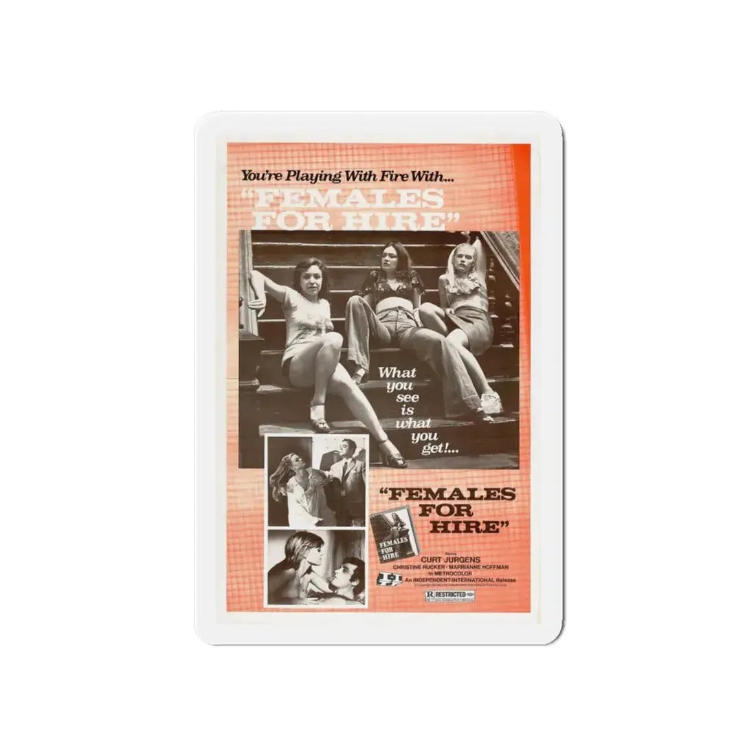 FEMALES FOR HIRE 1968 Movie Poster - Refrigerator Magnet 6 Inch - The Sticker Space