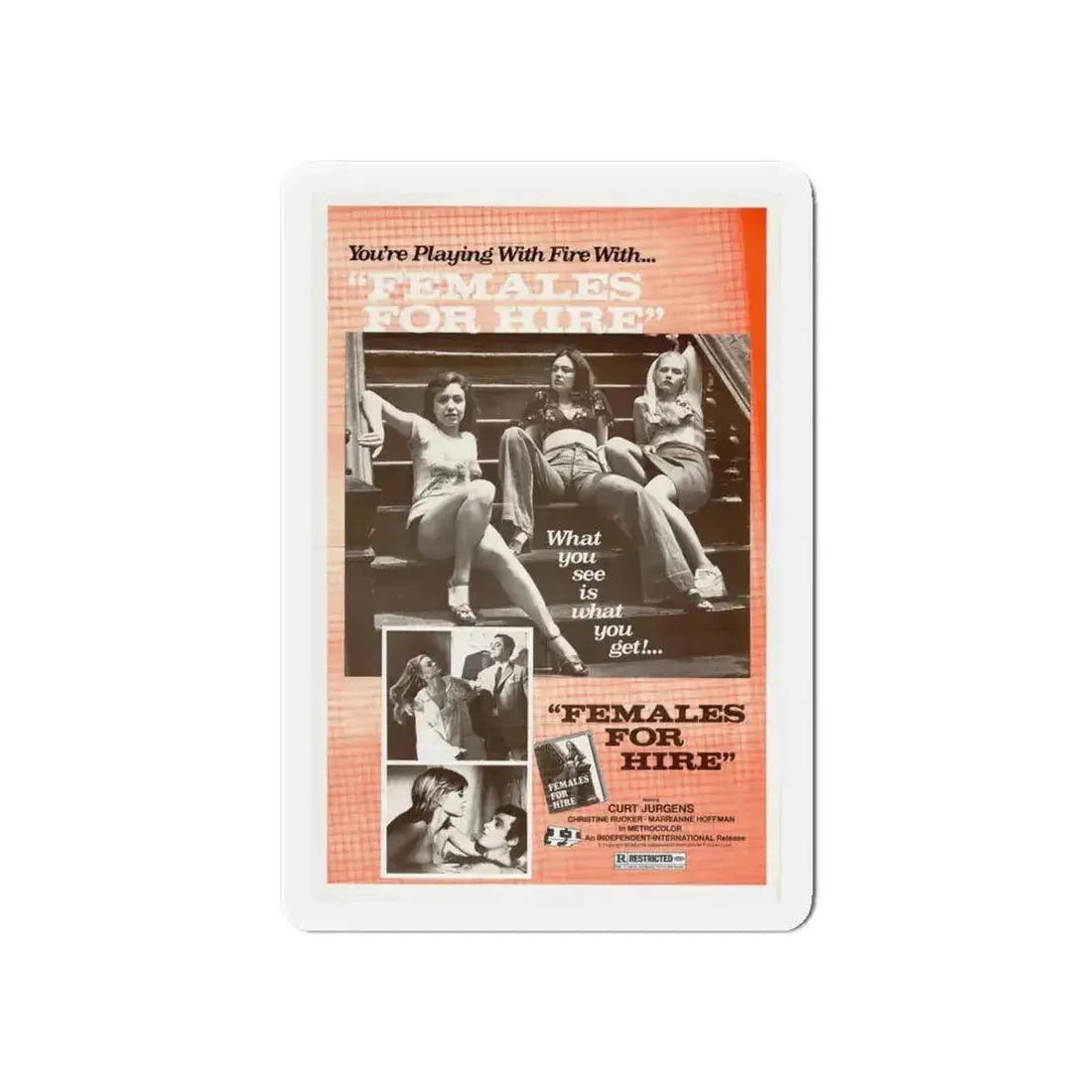 FEMALES FOR HIRE 1968 Movie Poster - Refrigerator Magnet - The Sticker Space