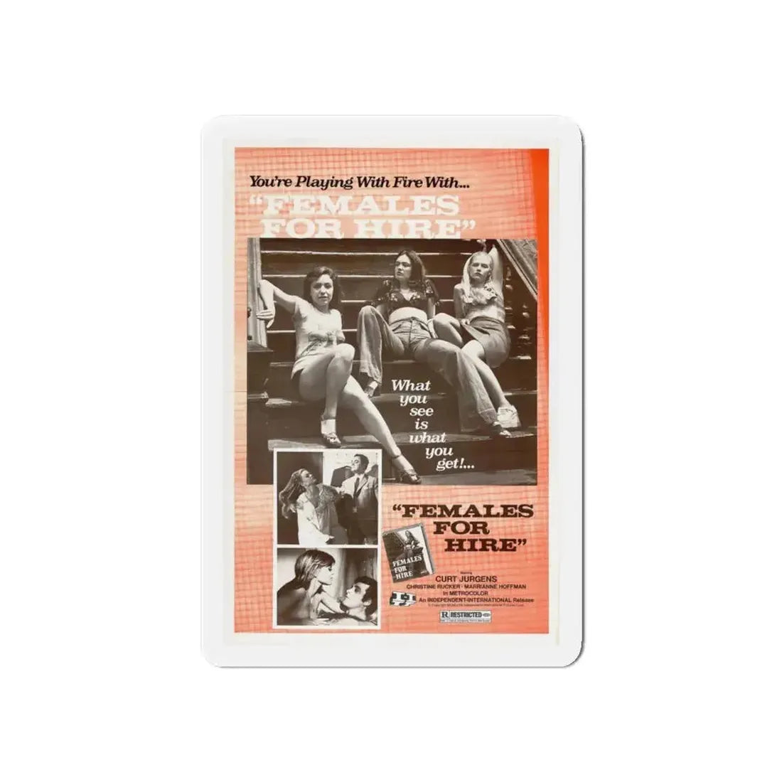 FEMALES FOR HIRE 1968 Movie Poster - Refrigerator Magnet - The Sticker Space