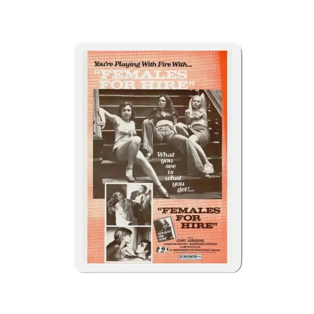 FEMALES FOR HIRE 1968 Movie Poster - Refrigerator Magnet - The Sticker Space