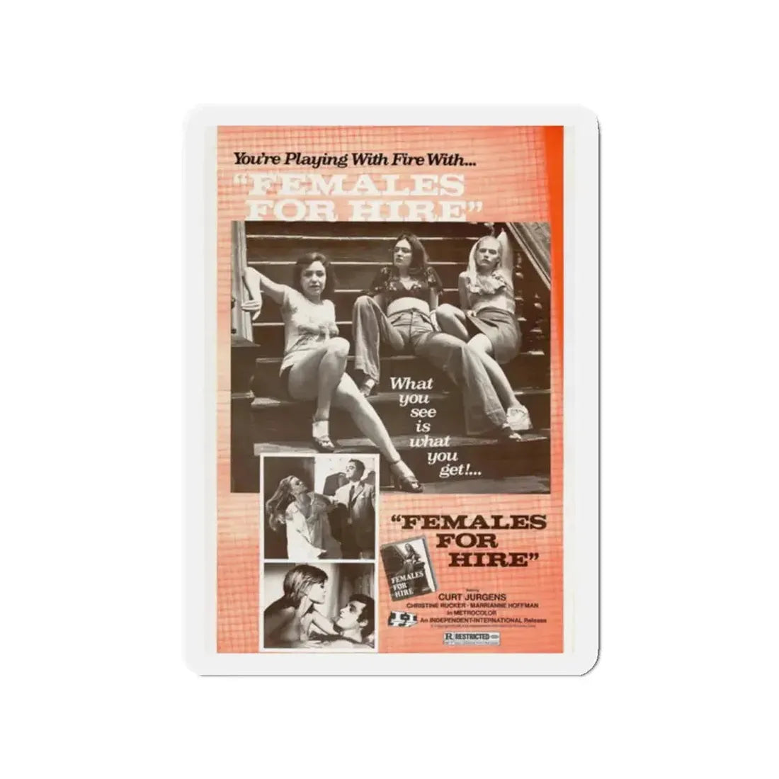 FEMALES FOR HIRE 1968 Movie Poster - Refrigerator Magnet - The Sticker Space