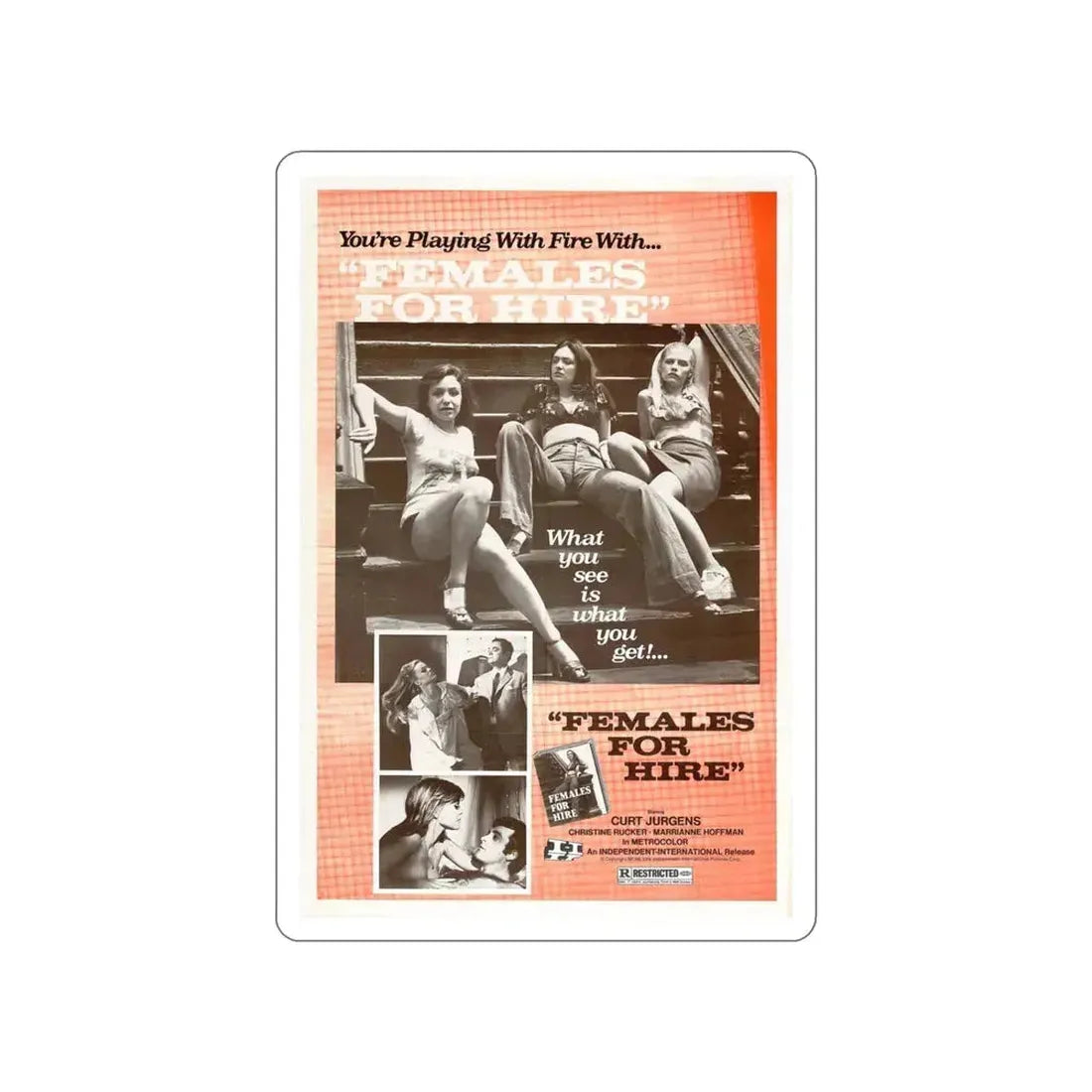 FEMALES FOR HIRE 1968 Movie Poster STICKER Vinyl Die-Cut Decal 4 Inch - The Sticker Space