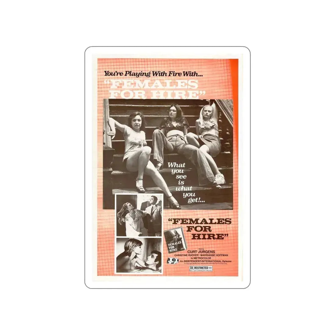 FEMALES FOR HIRE 1968 Movie Poster STICKER Vinyl Die-Cut Decal 6 Inch - The Sticker Space