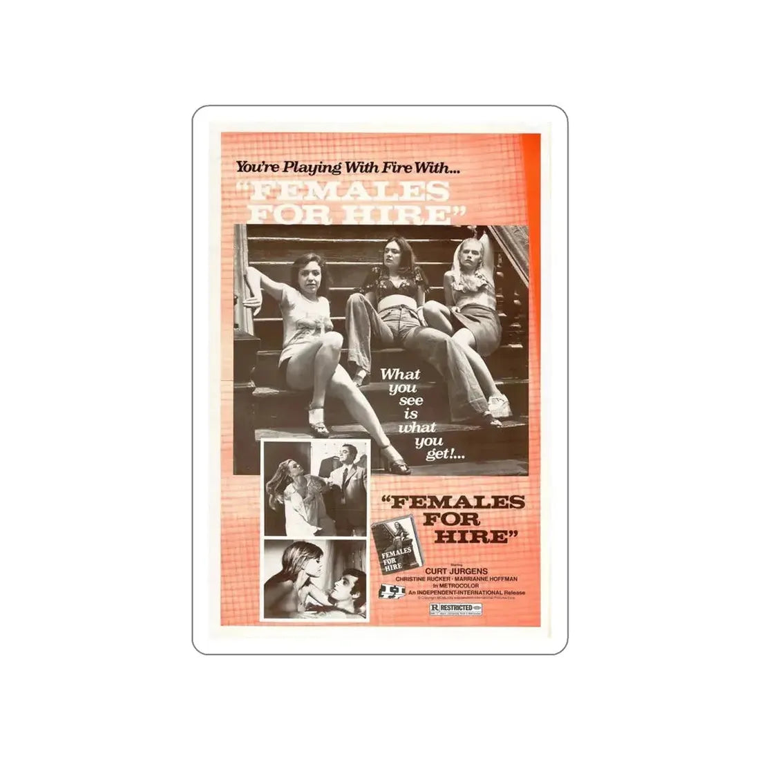 FEMALES FOR HIRE 1968 Movie Poster STICKER Vinyl Die-Cut Decal - The Sticker Space