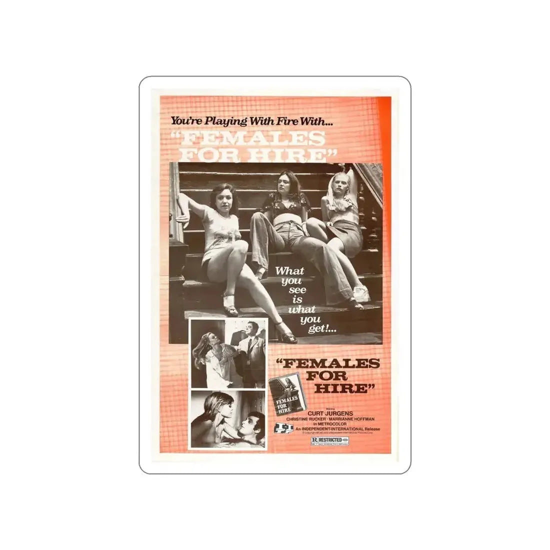 FEMALES FOR HIRE 1968 Movie Poster STICKER Vinyl Die-Cut Decal - The Sticker Space