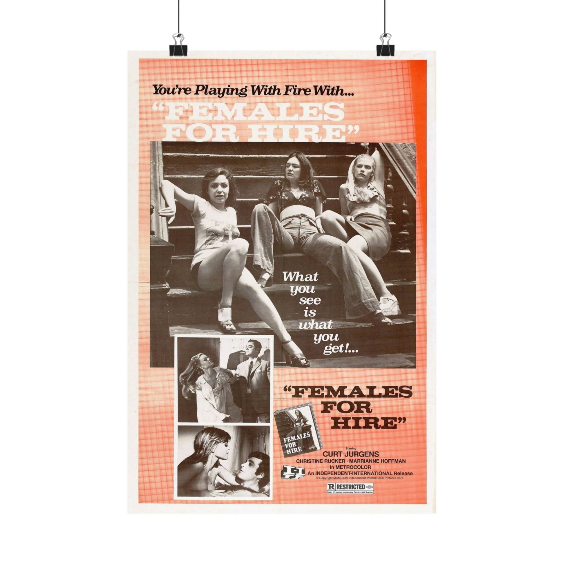 FEMALES FOR HIRE 1968 - Paper Movie Poster-12″ x 18″-The Sticker Space