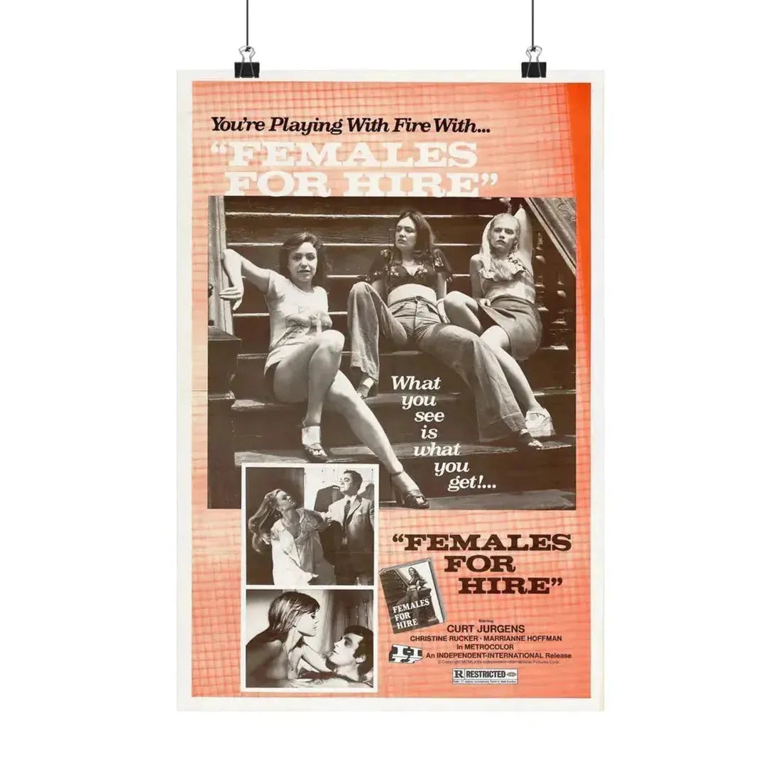 FEMALES FOR HIRE 1968 - Paper Movie Poster 12″ x 18″ Matte - The Sticker Space