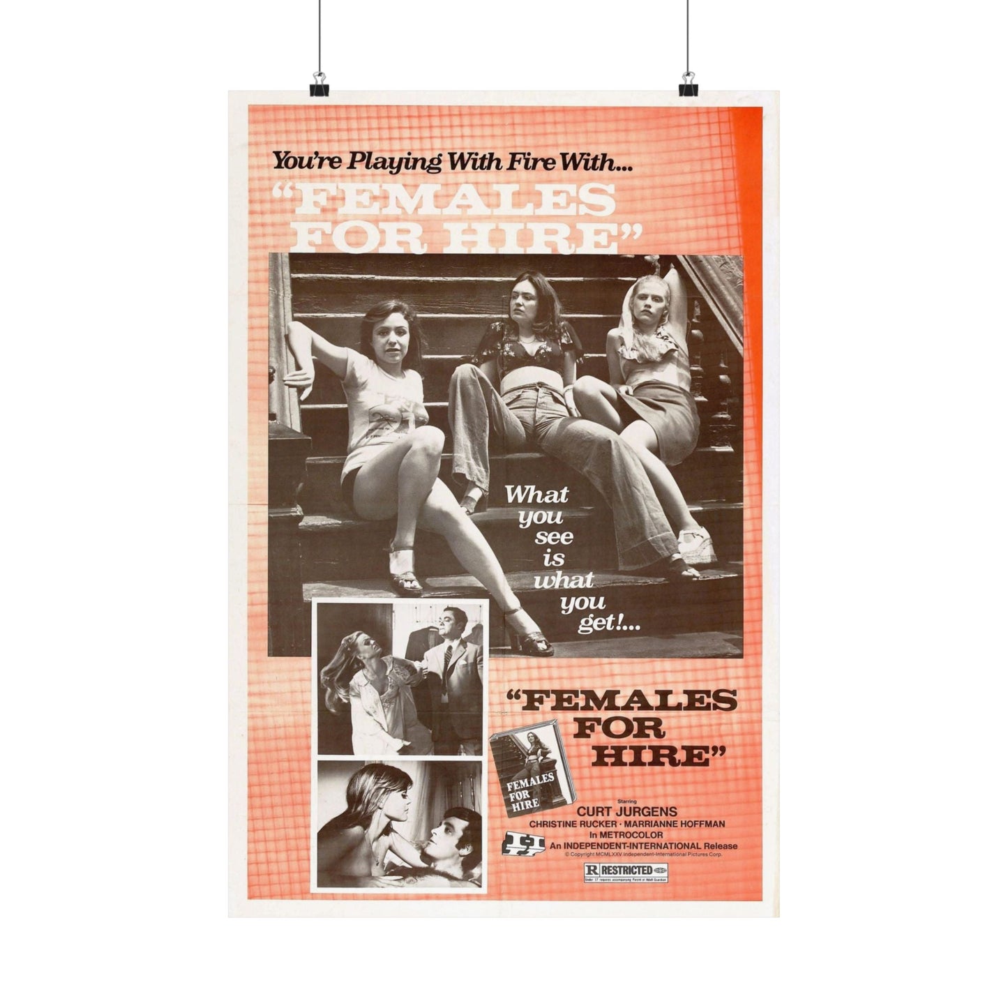 FEMALES FOR HIRE 1968 - Paper Movie Poster-20″ x 30″-The Sticker Space