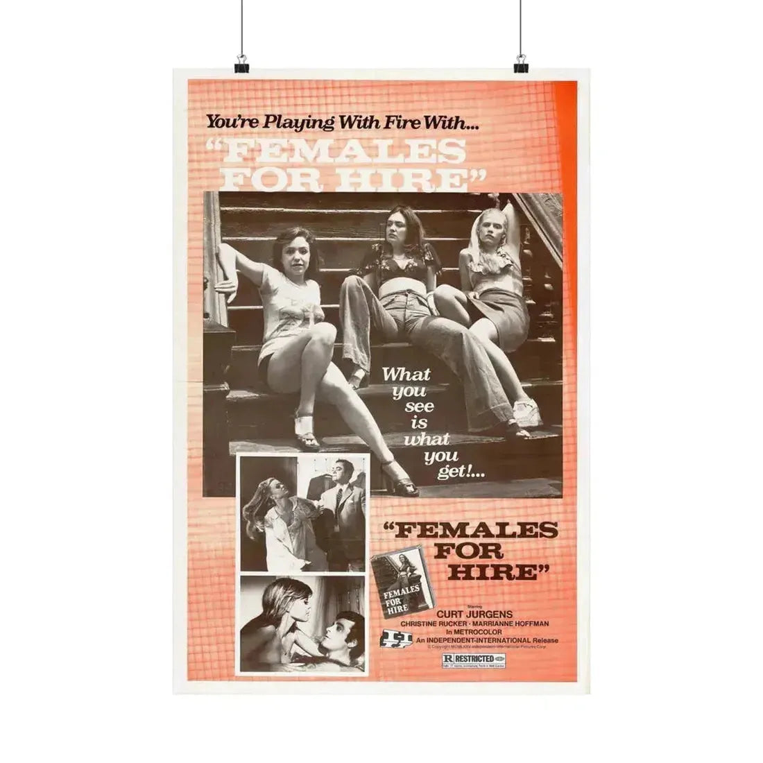 FEMALES FOR HIRE 1968 - Paper Movie Poster 20″ x 30″ Matte - The Sticker Space