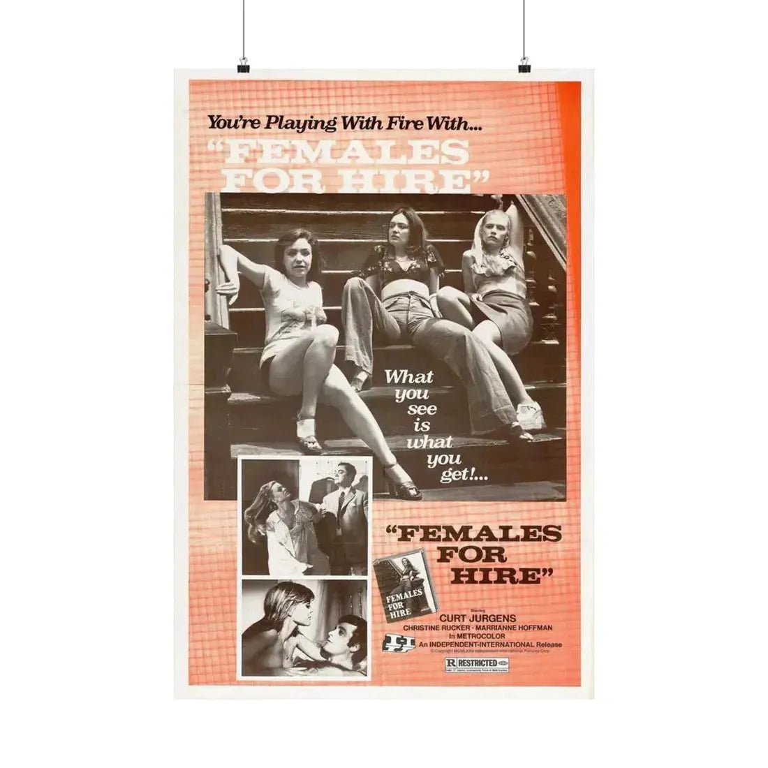 FEMALES FOR HIRE 1968 - Paper Movie Poster 24″ x 36″ Matte - The Sticker Space