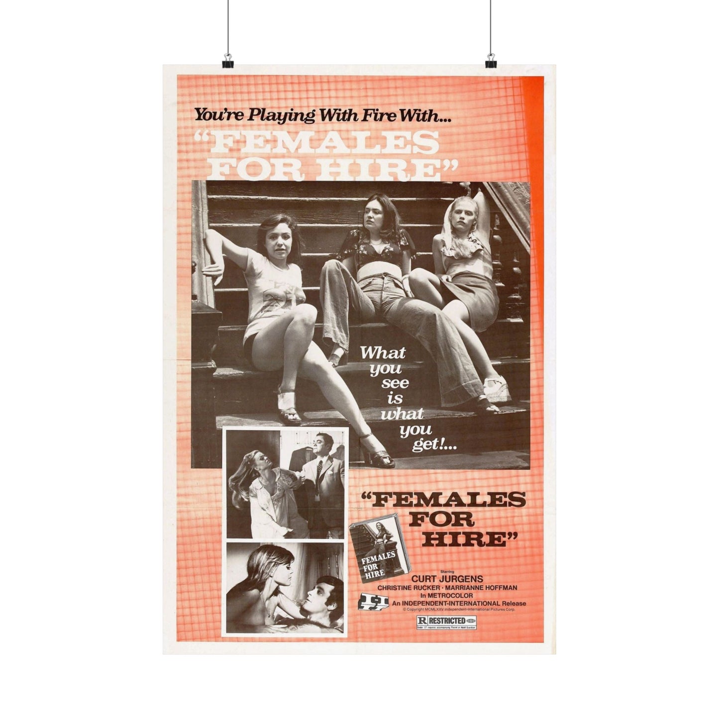 FEMALES FOR HIRE 1968 - Paper Movie Poster-24″ x 36″-The Sticker Space