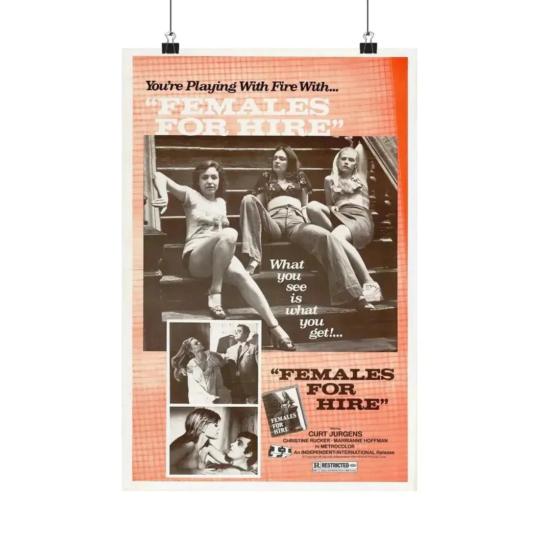 FEMALES FOR HIRE 1968 - Paper Movie Poster - The Sticker Space