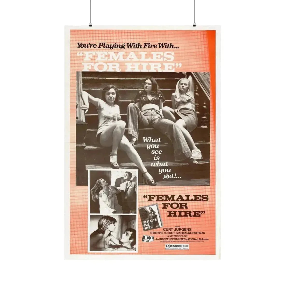 FEMALES FOR HIRE 1968 - Paper Movie Poster - The Sticker Space