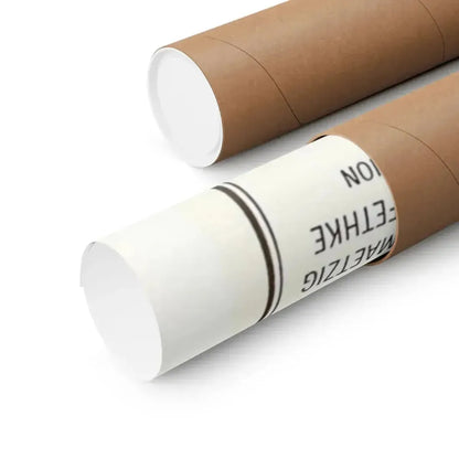 FIRST SPACESHIP ON VENUS 1960 - Paper Movie Poster - The Sticker Space