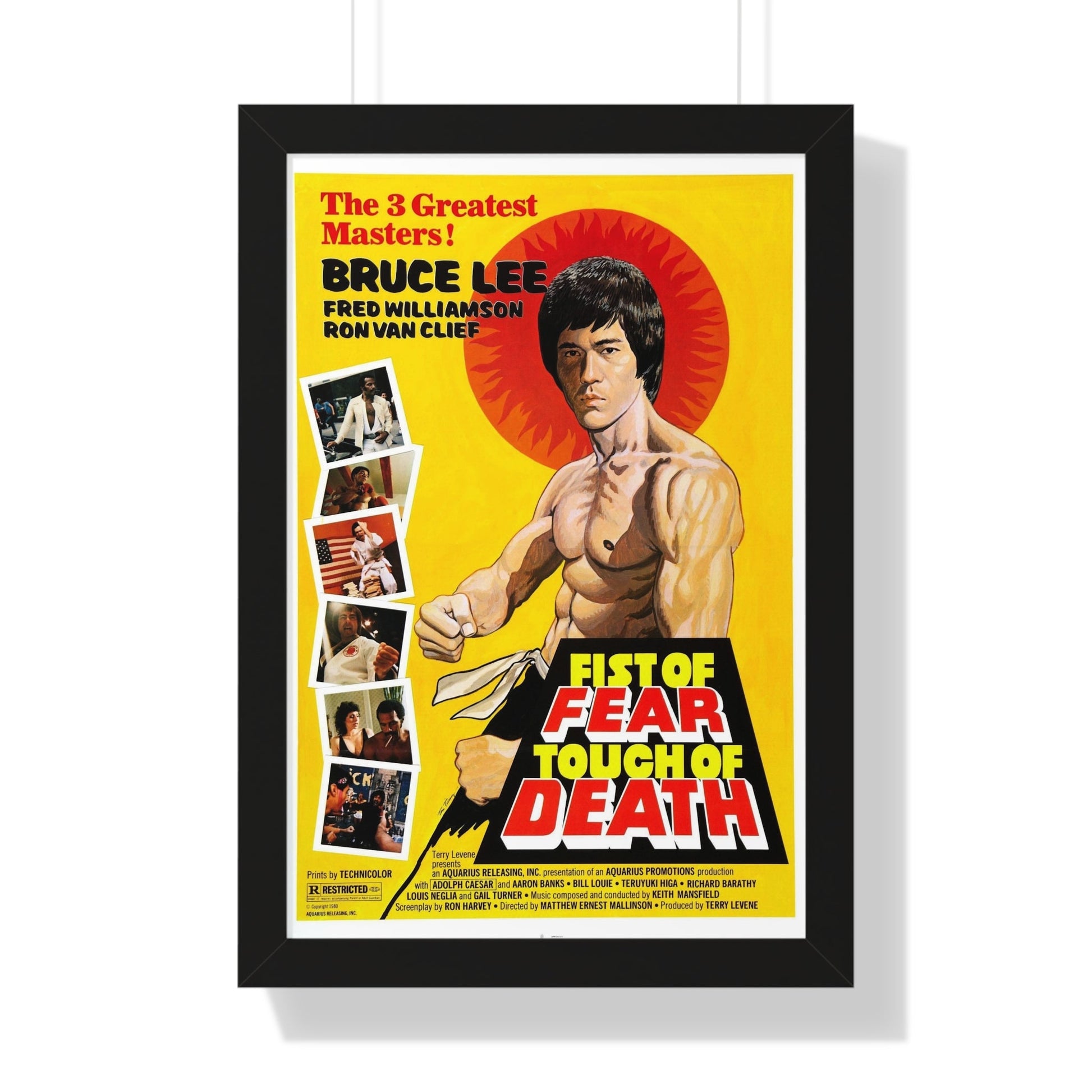 FIST OF FEAR TOUCH OF DEATH 1980 - Framed Movie Poster-16″ x 24″-The Sticker Space