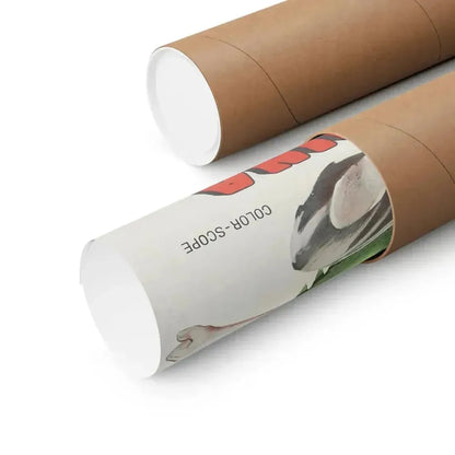 FIST OF FURY (2) 1972 - Paper Movie Poster - The Sticker Space