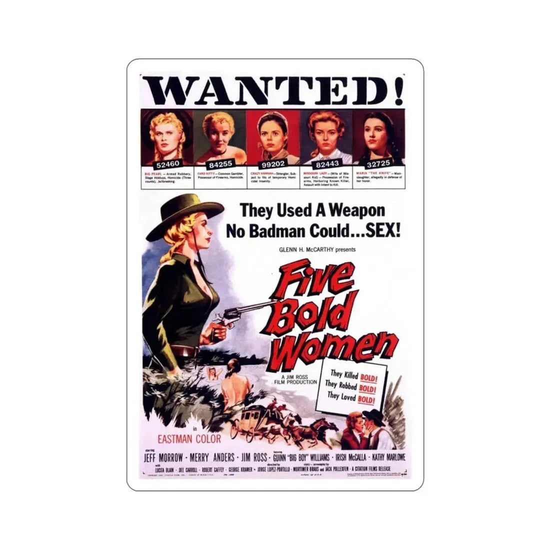 Five Bold Women 1960 Movie Poster STICKER Vinyl Die-Cut Decal 3 Inch - The Sticker Space