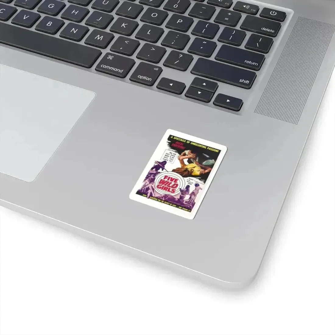FIVE WILD GIRLS 1964 Movie Poster - STICKER Vinyl Kiss-Cut Decal - The Sticker Space