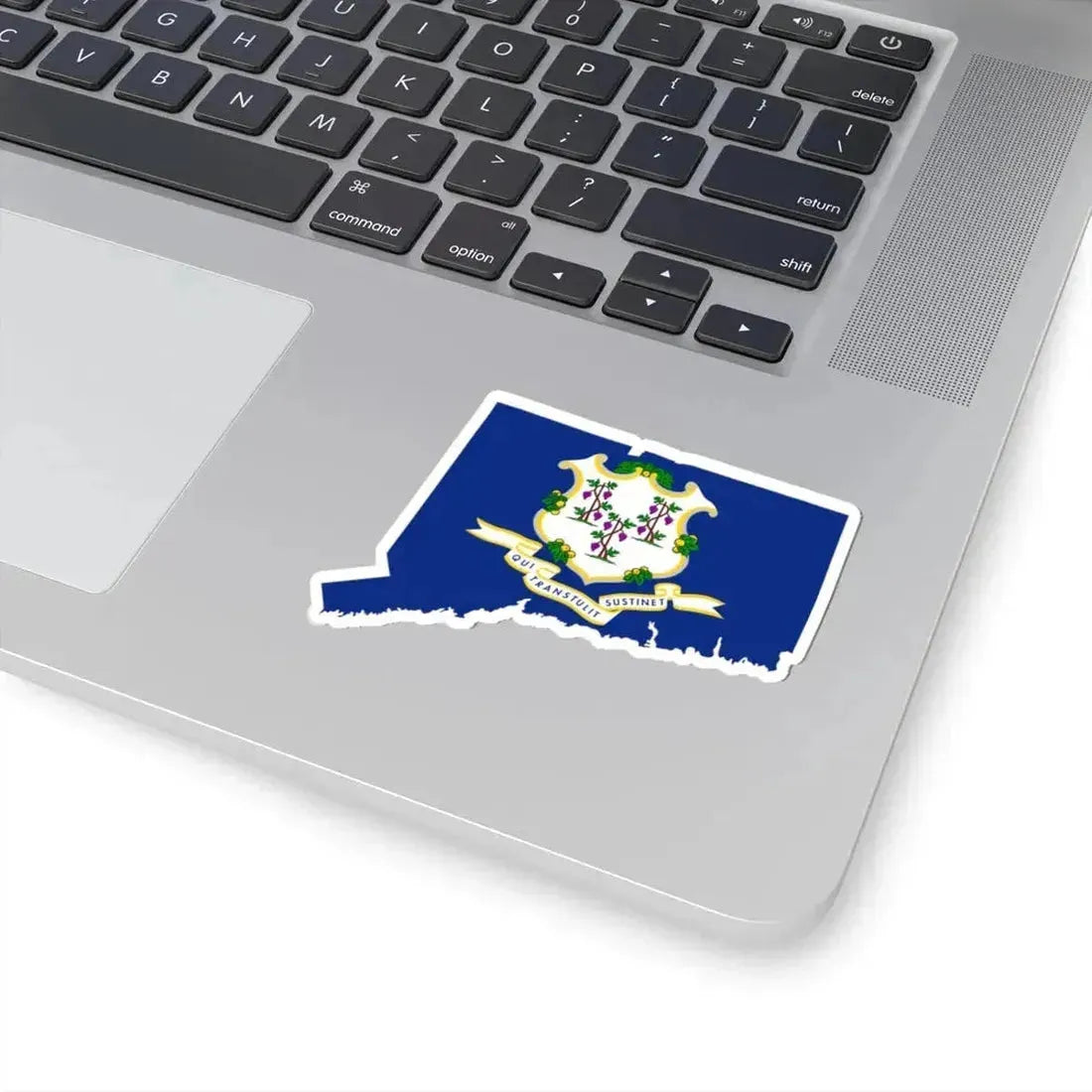 Flag-map of Connecticut (United States) STICKER Vinyl Kiss-Cut Decal - The Sticker Space