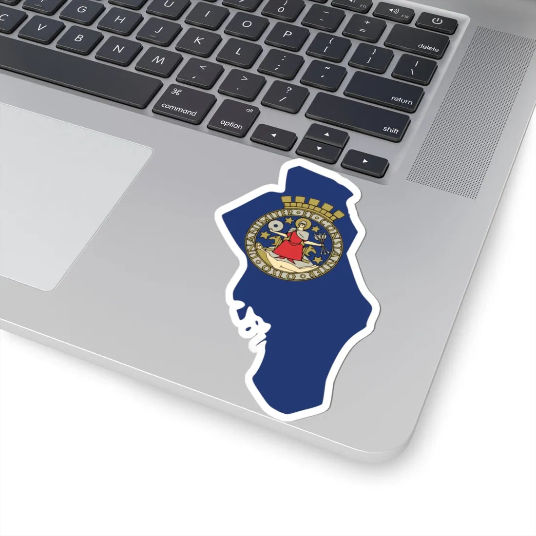 Flag-map of Oslo (Norway) STICKER Vinyl Kiss-Cut Decal - The Sticker Space