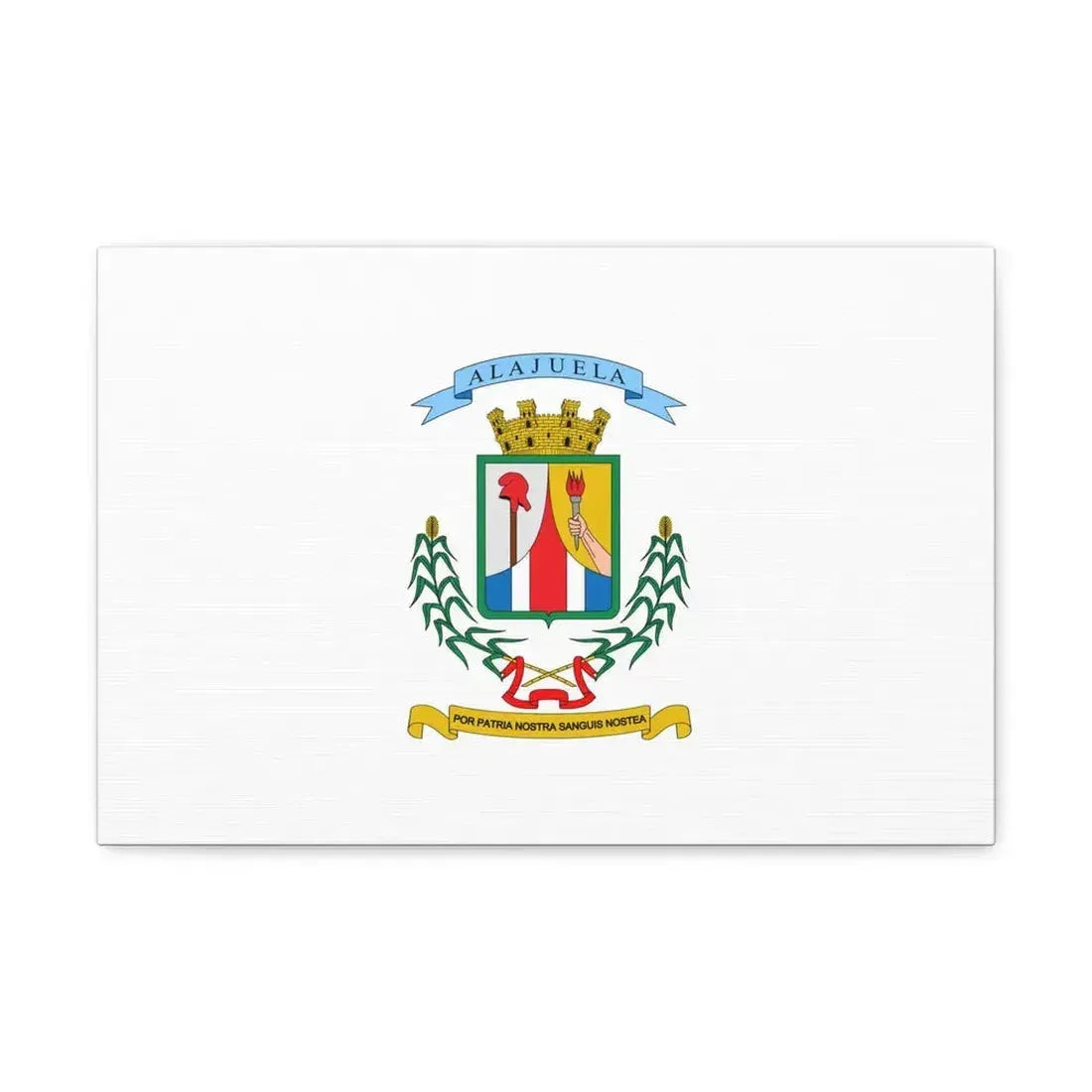 Flag of Alajuela Province Costa Rica - Canvas Wall Art 18″ x 12″ 1.25" - The Sticker Space