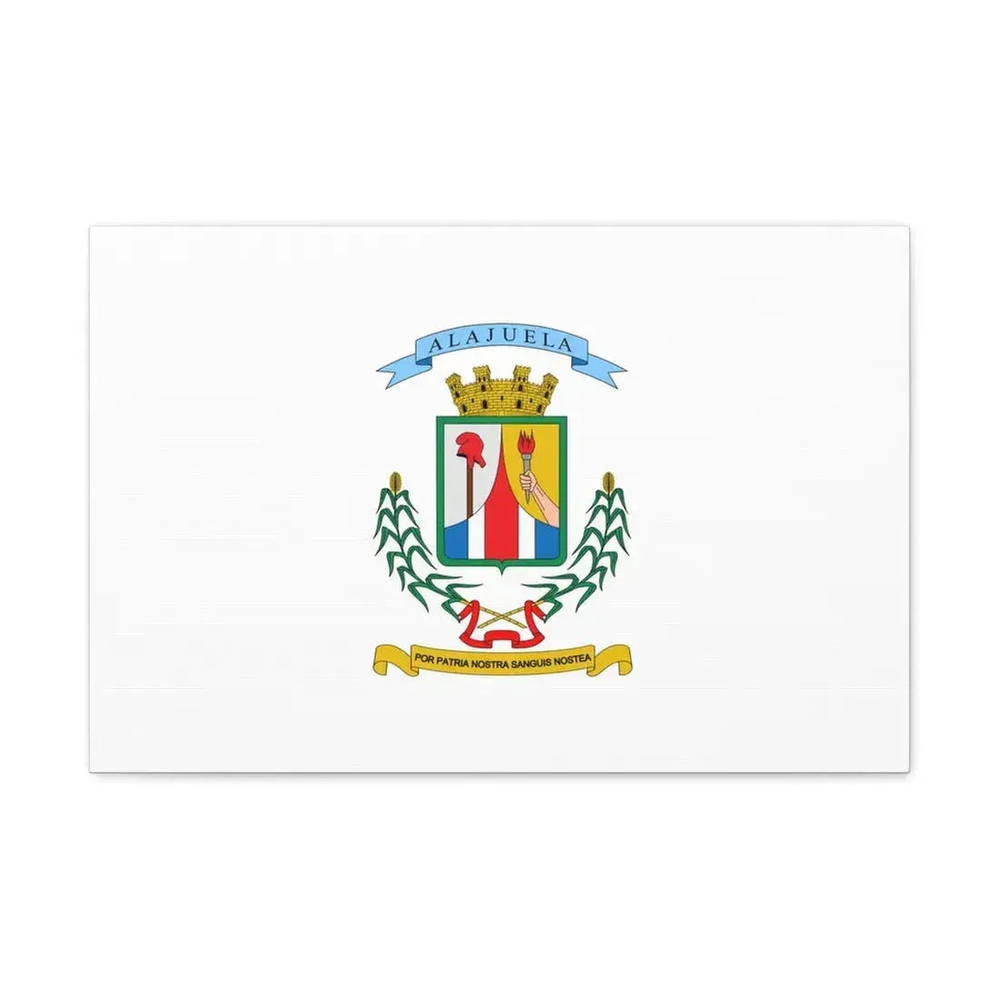 Flag of Alajuela Province Costa Rica - Canvas Wall Art 24″ x 16″ 1.25" - The Sticker Space