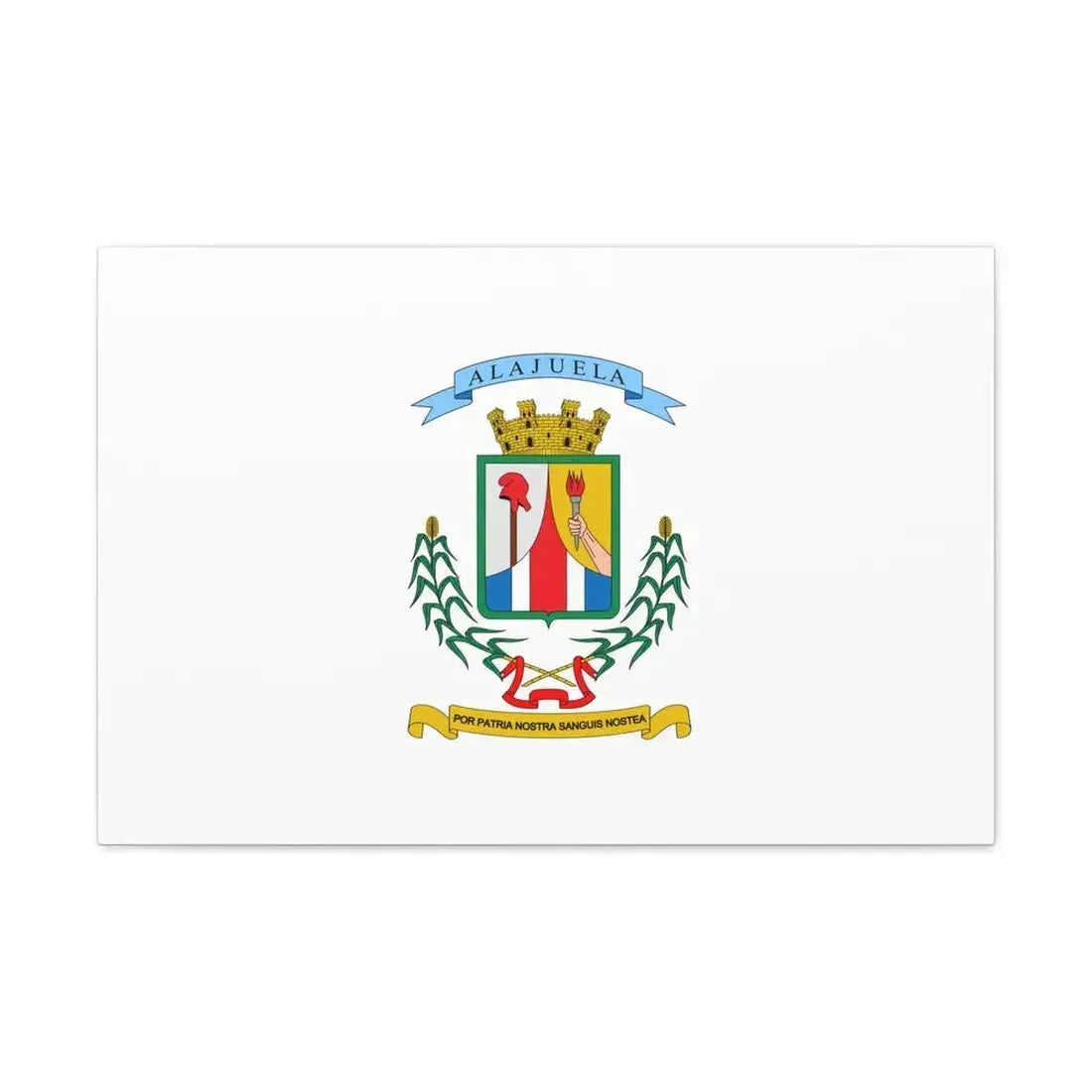 Flag of Alajuela Province Costa Rica - Canvas Wall Art 30" x 20" 1.25" - The Sticker Space