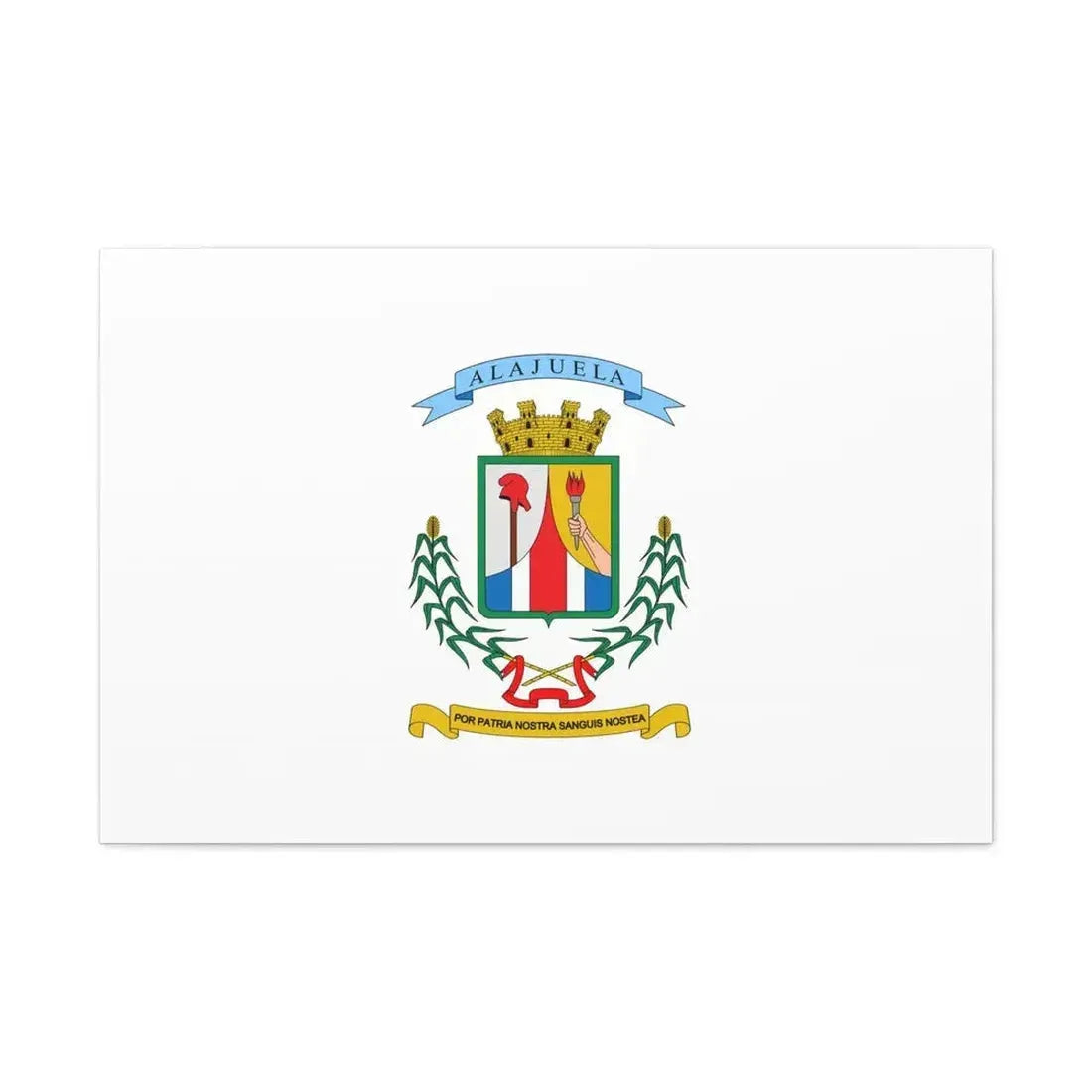 Flag of Alajuela Province Costa Rica - Canvas Wall Art - The Sticker Space